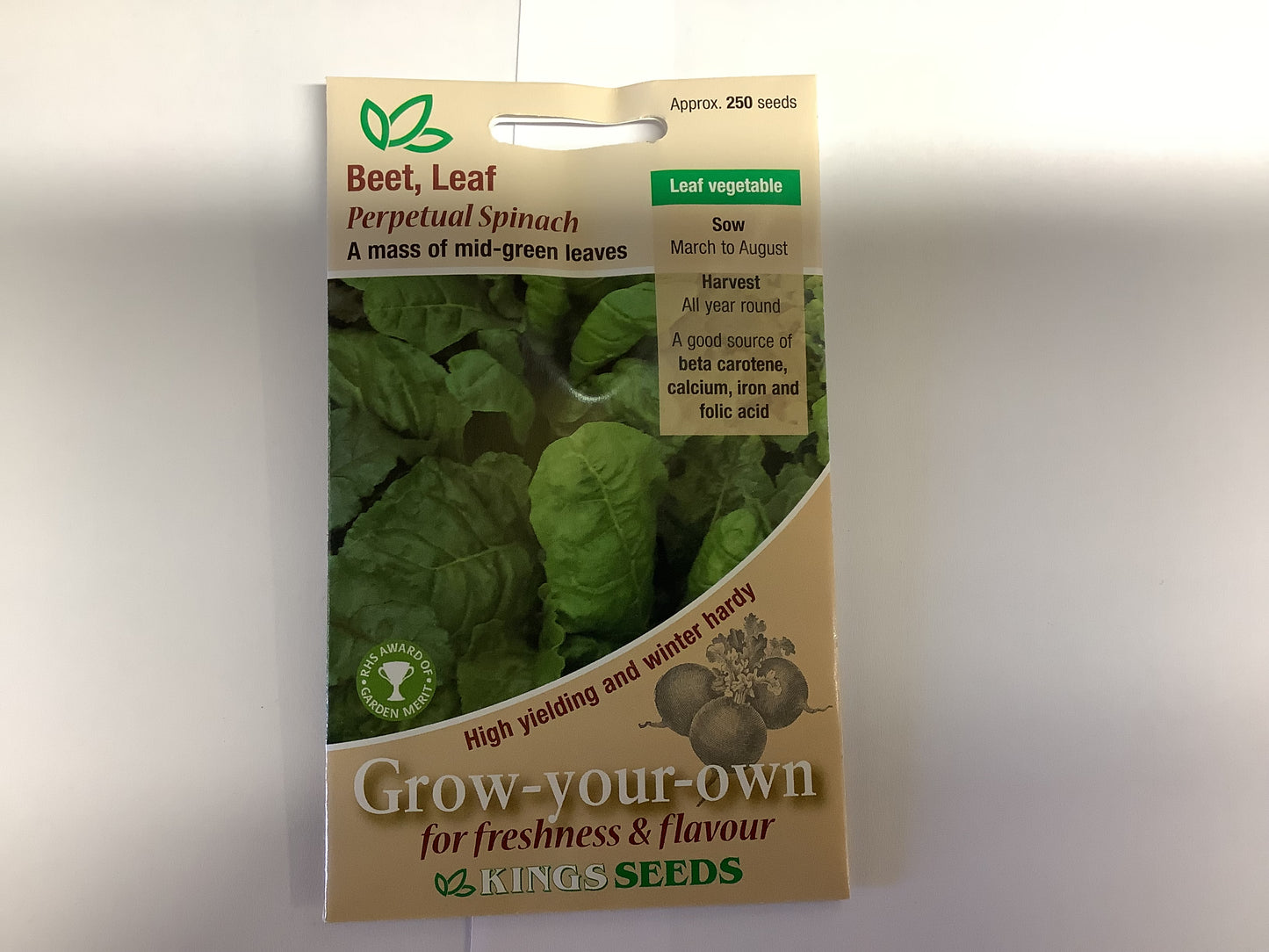 Kings Seeds Beetroot Cylindra
