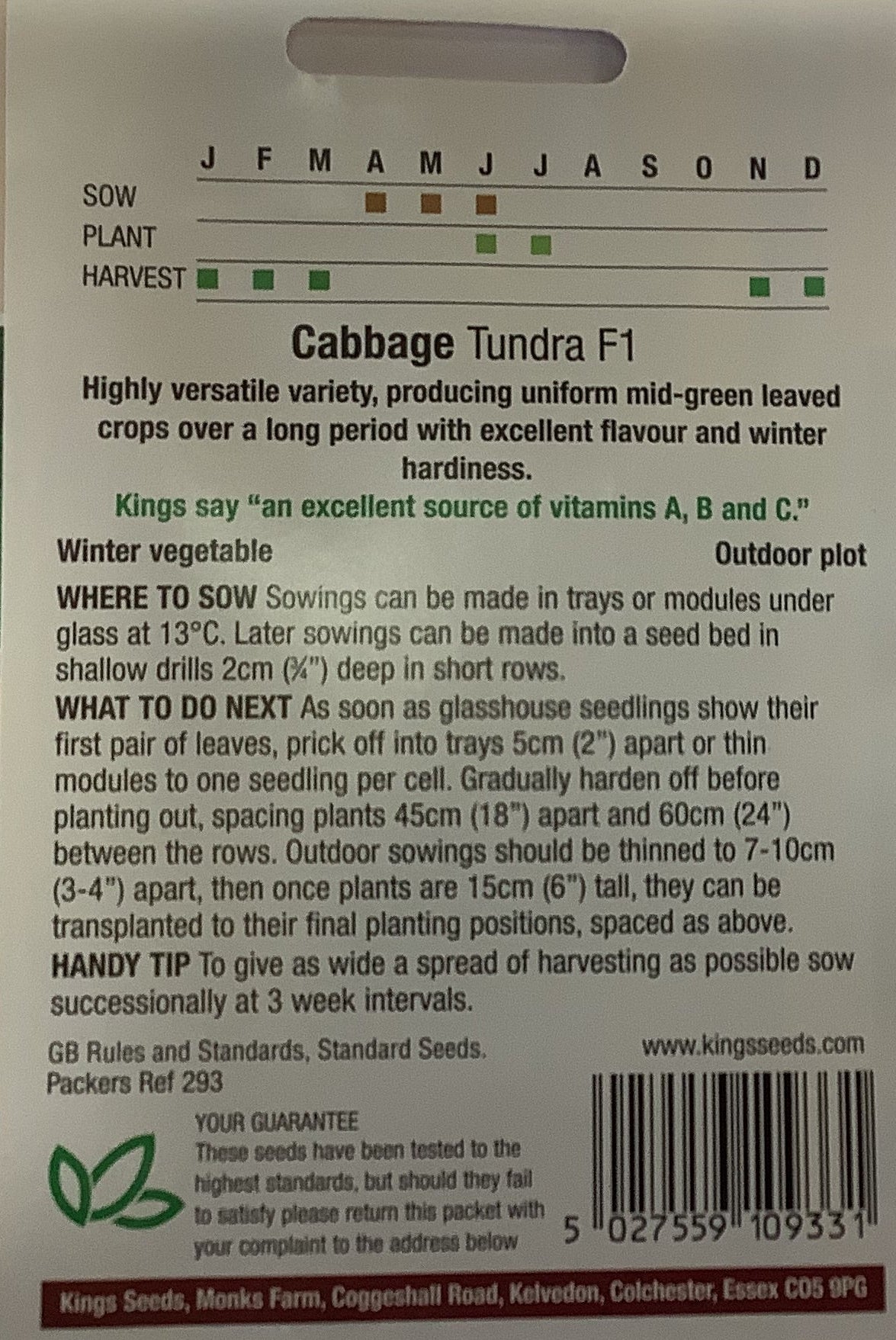Kings Seeds Cabbage Tundra F1
