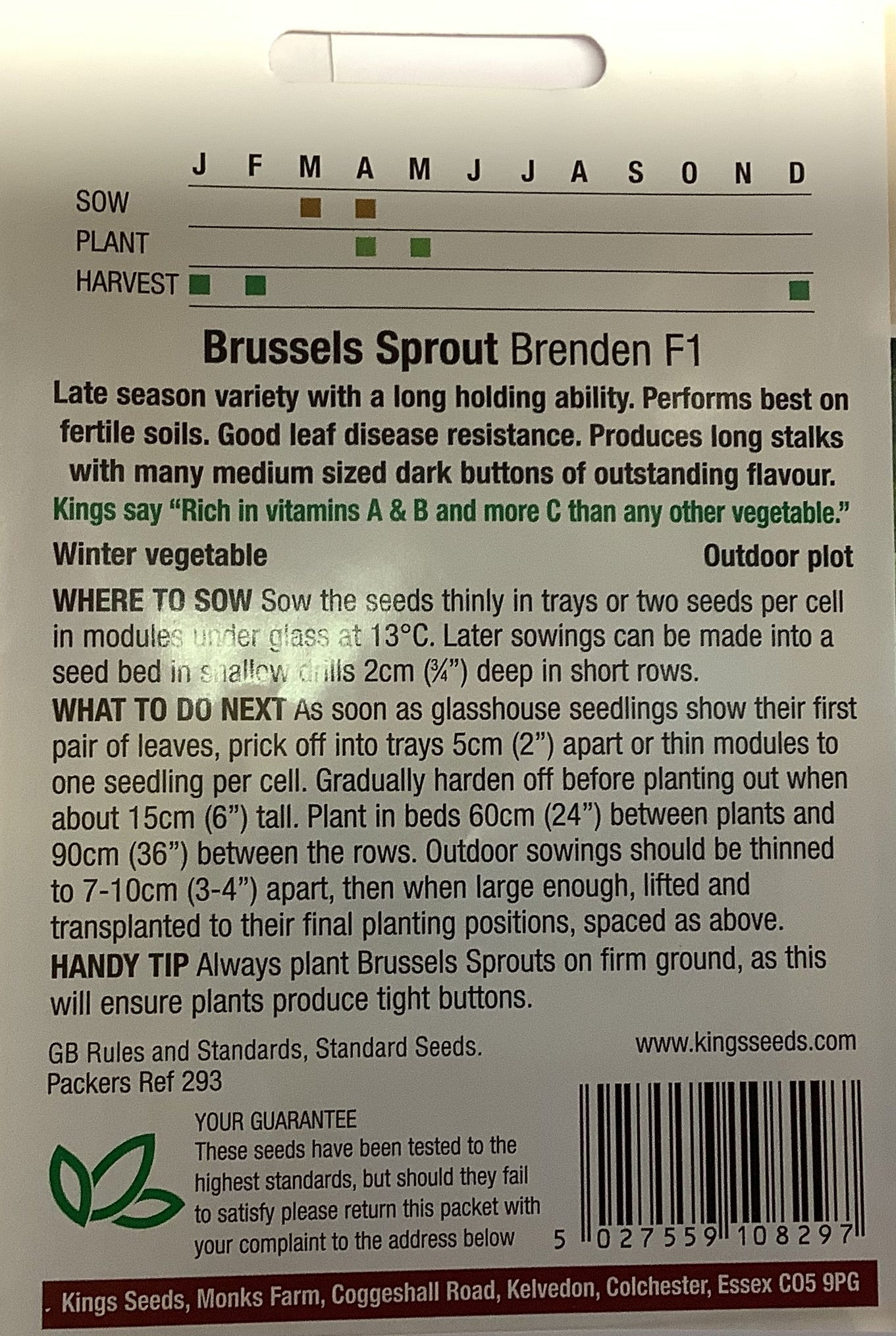 Kings Seeds Brussels Sprout Brenden F1