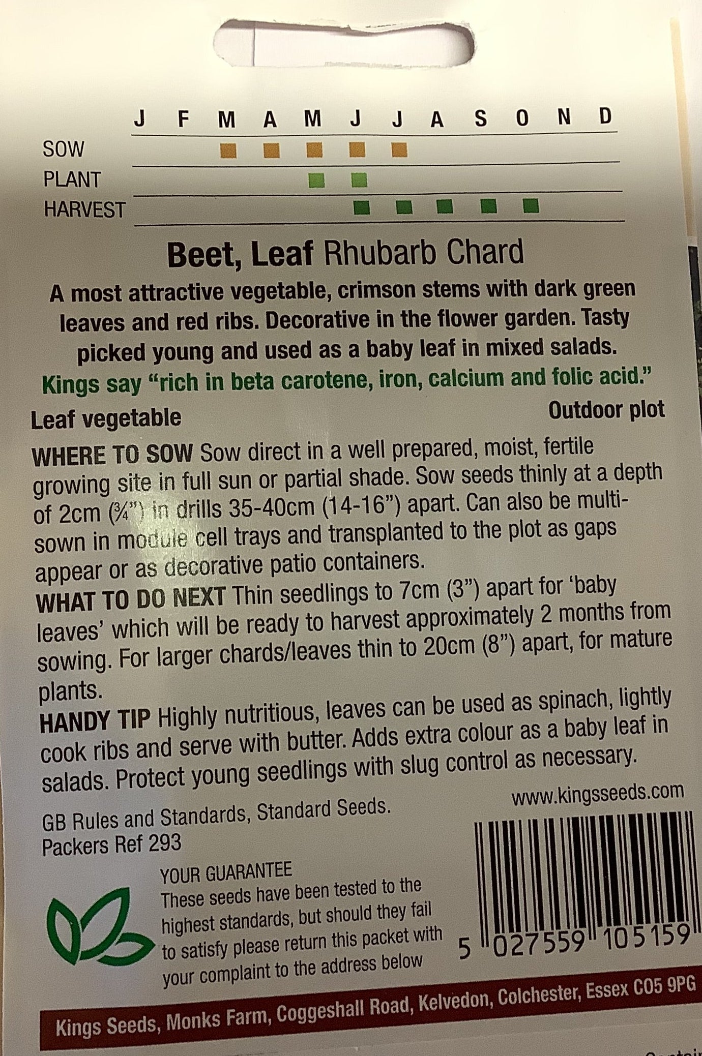 Kings Seeds Beet Leaf Rhubarb Chard