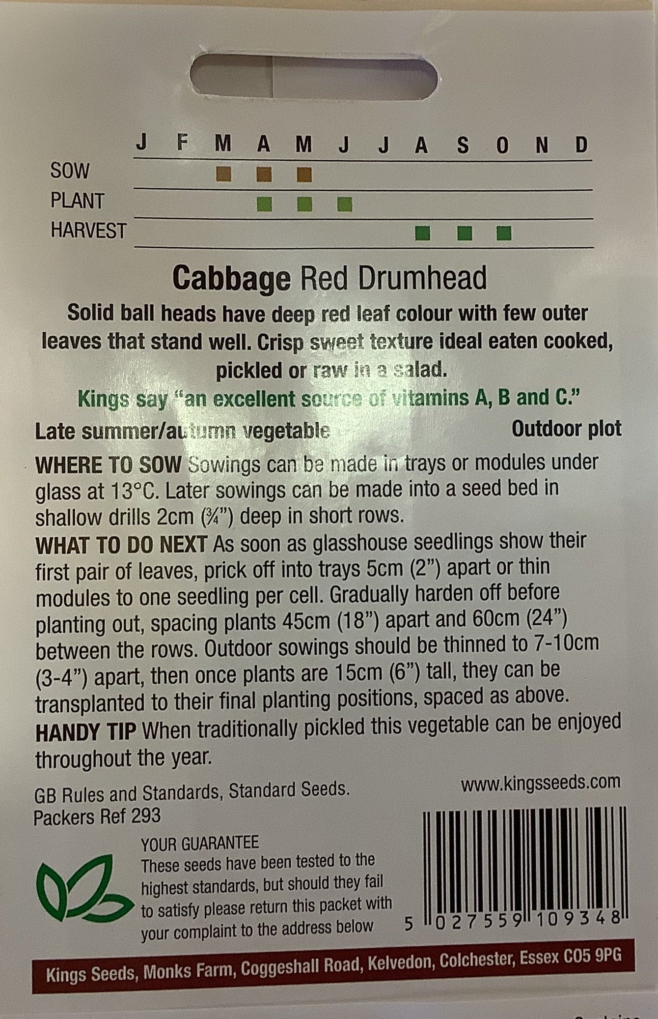 Kings Seeds Cabbage Red Drumhead