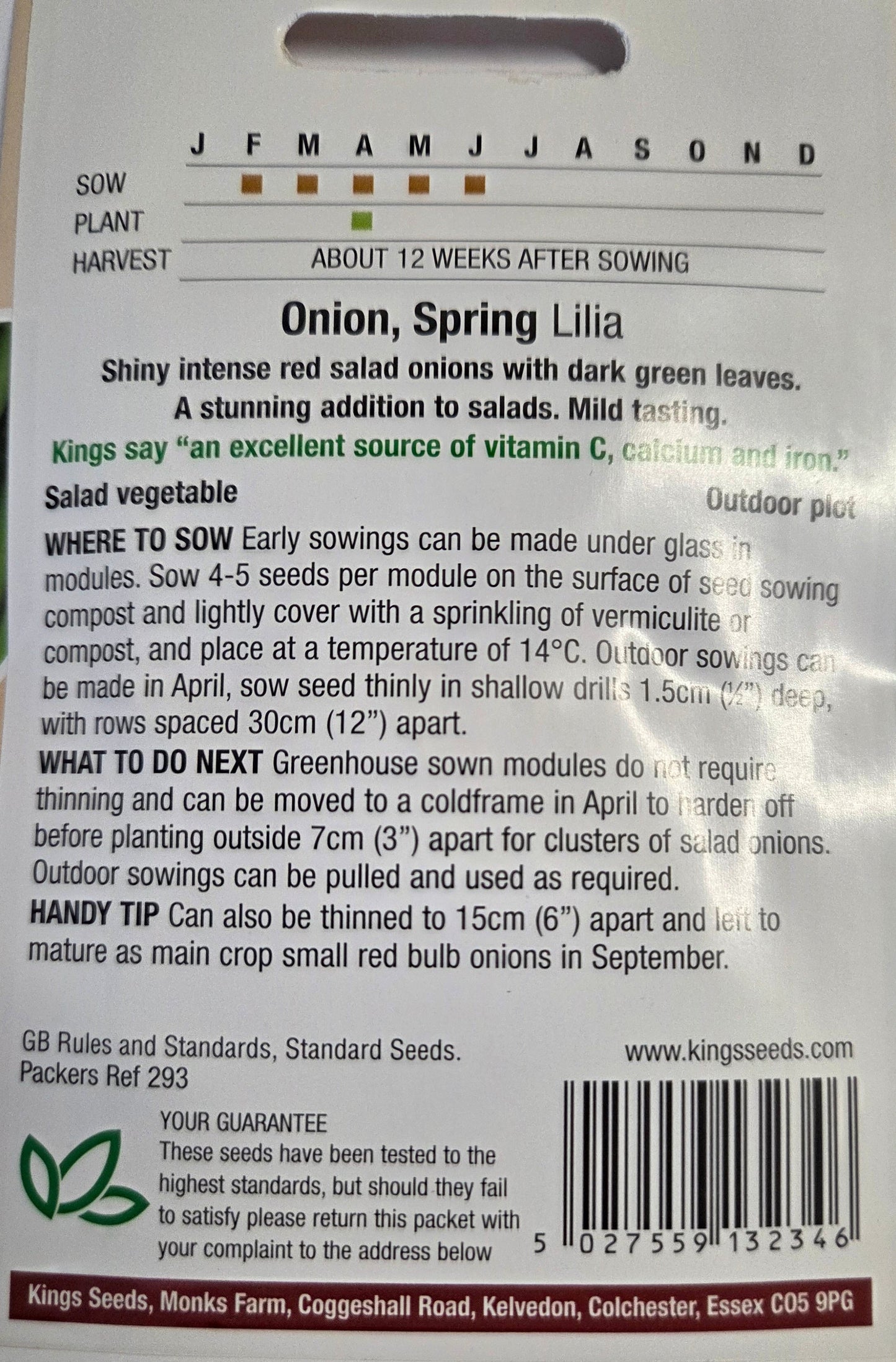 Kings Seeds Spring Onion Lilia