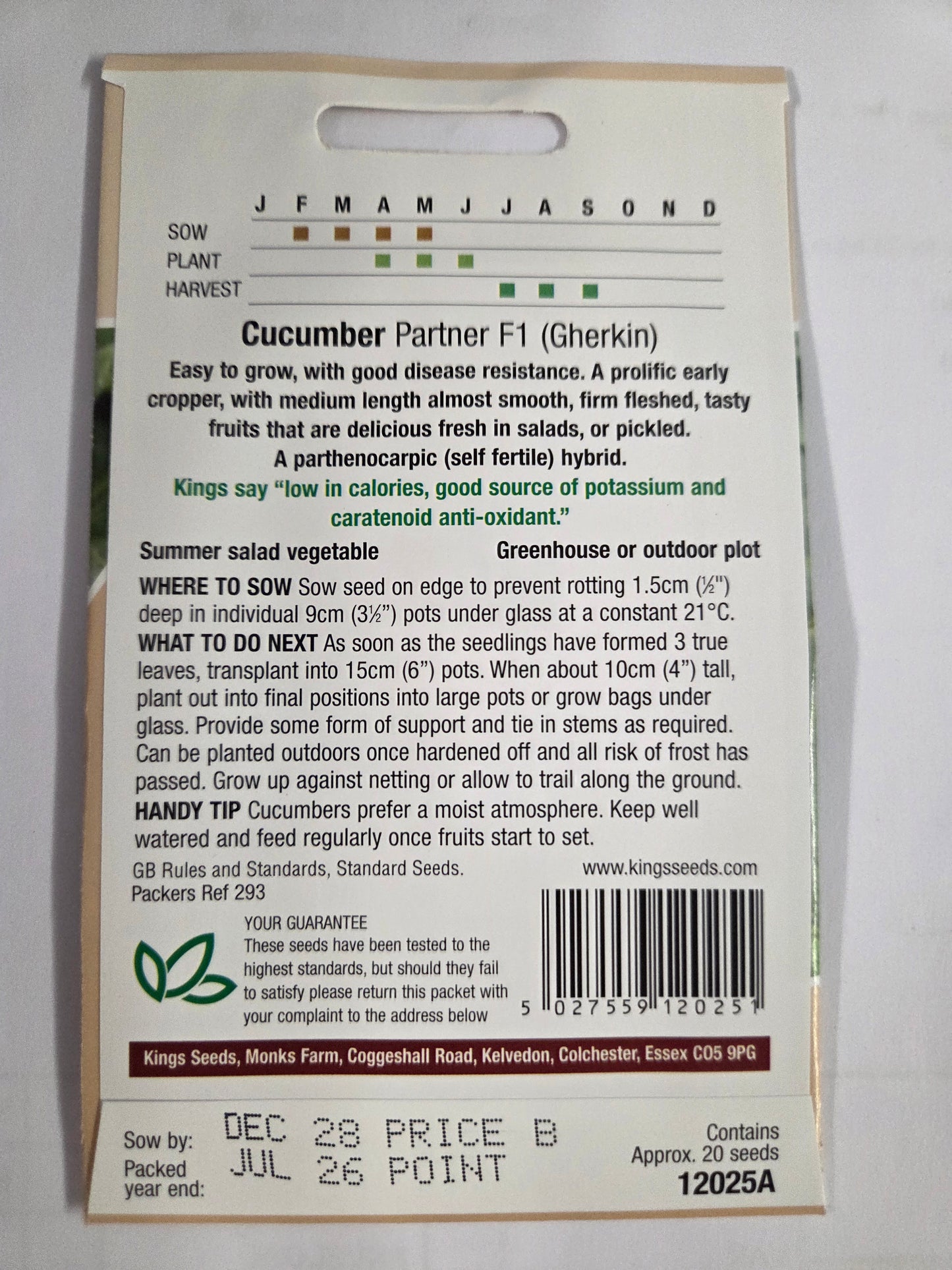 Kings Seeds Cucumber Partner(Gherkin) F1