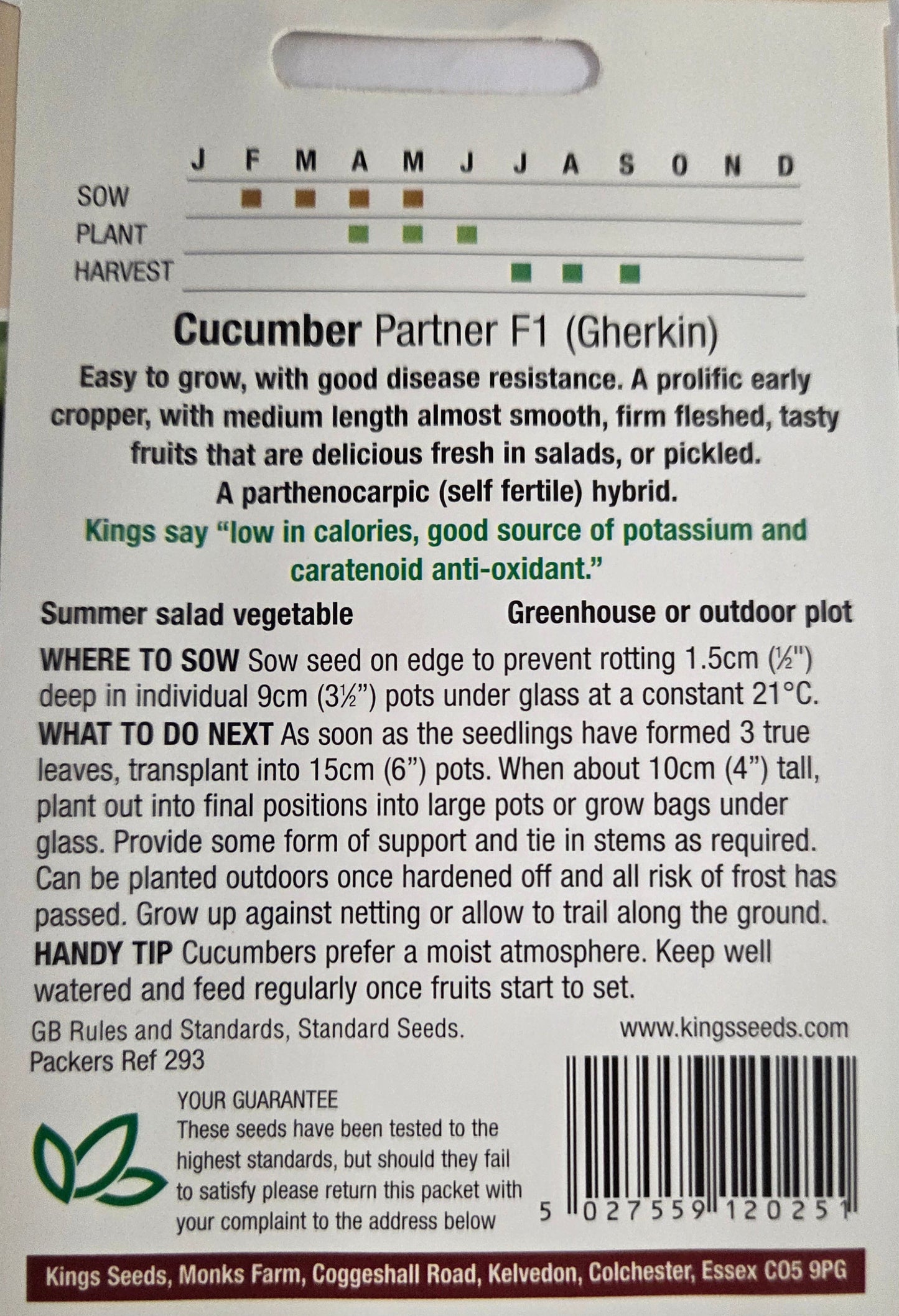 Kings Seeds Cucumber Partner(Gherkin) F1