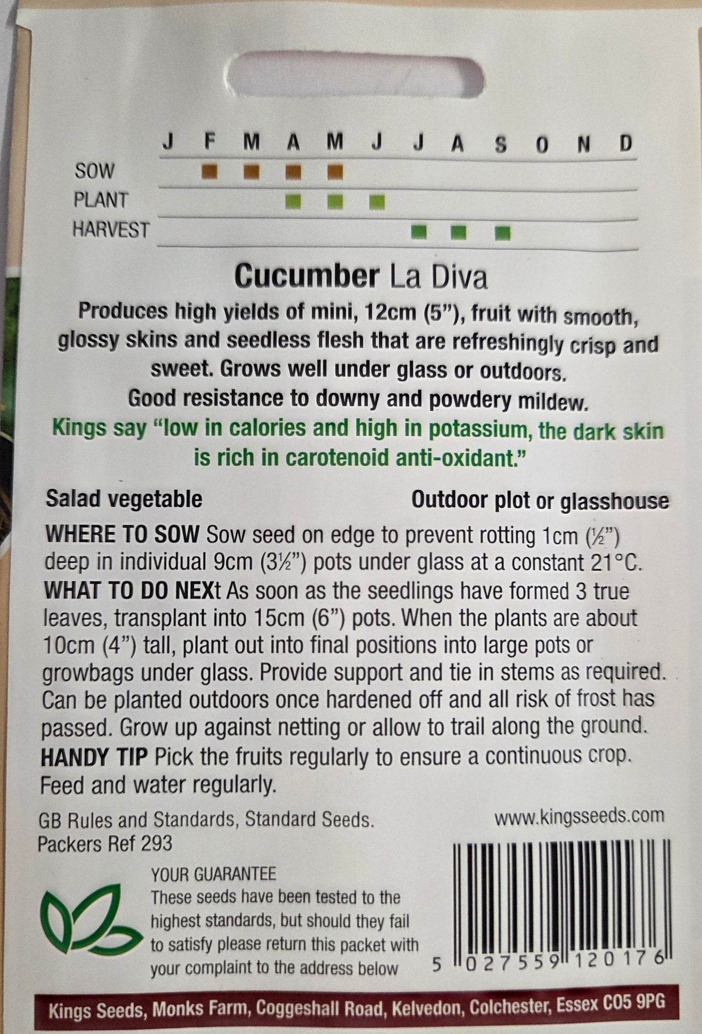 Kings Seeds Cucumber La Diva