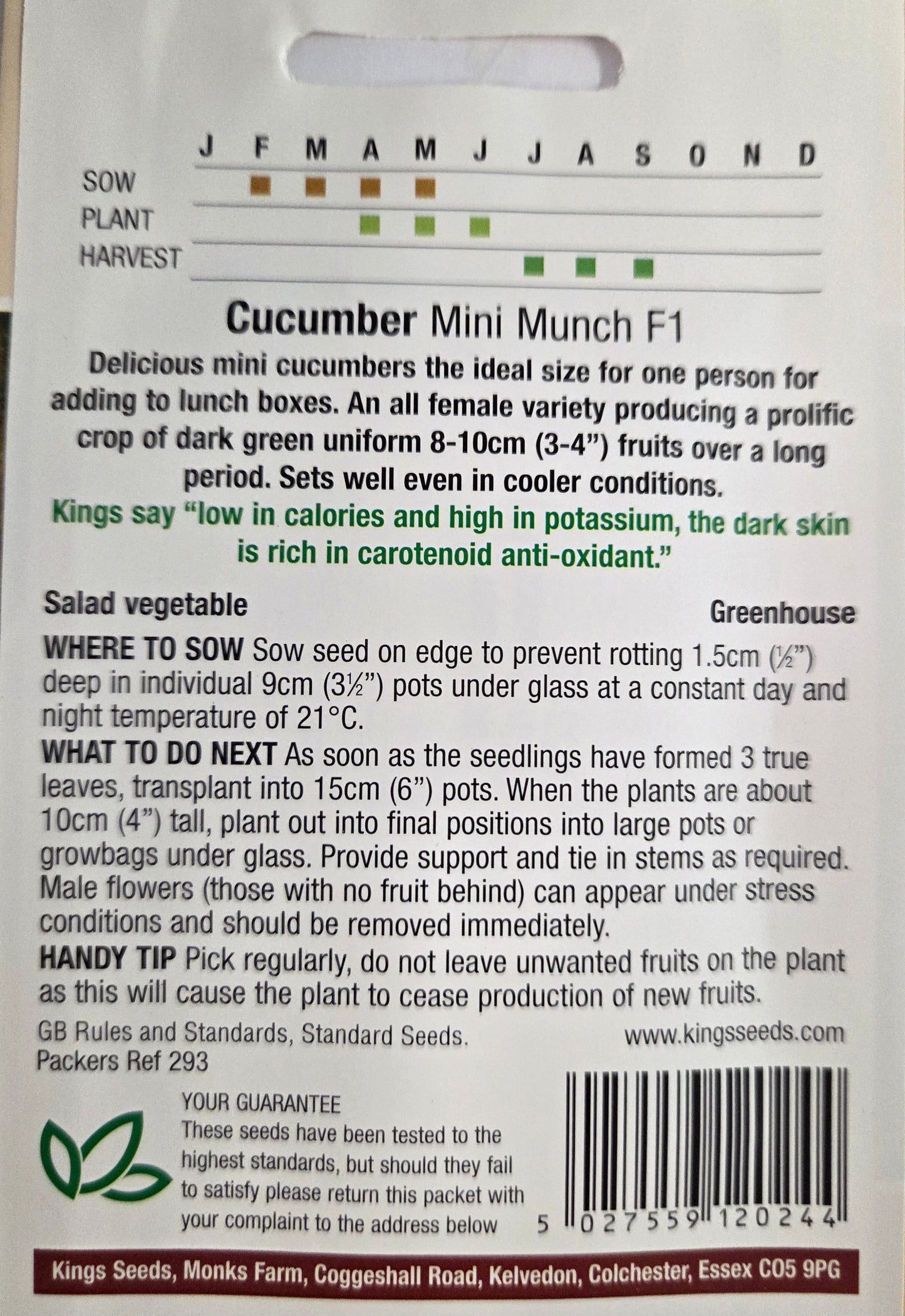 Kings Seeds Cucumber Mini Munch F1