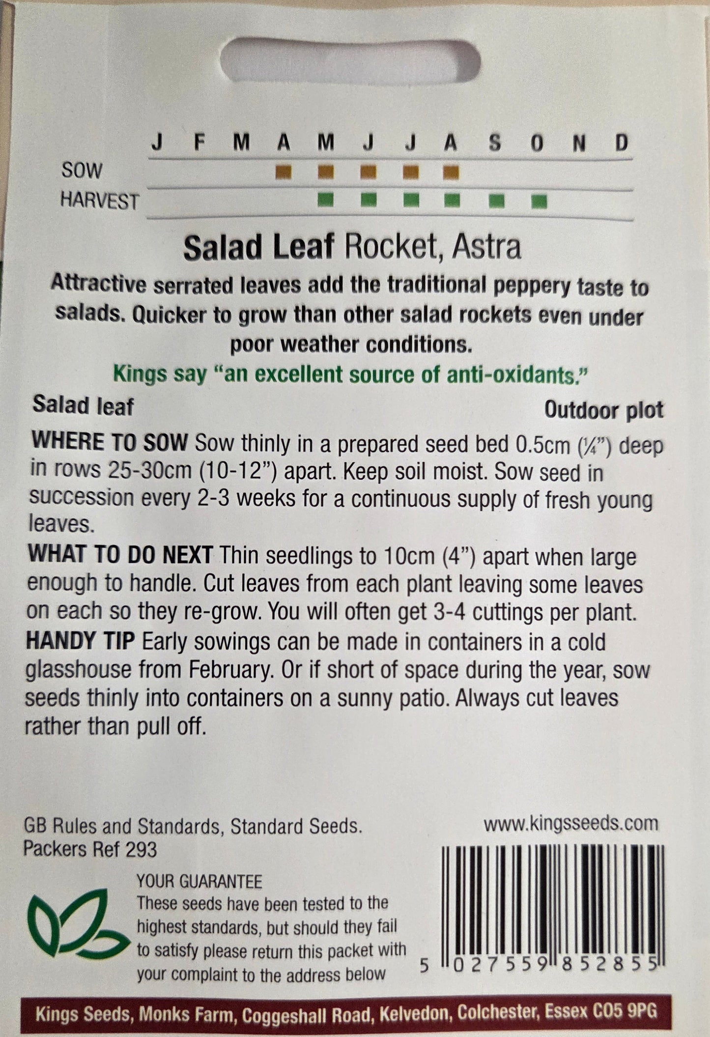 Kings Seeds Rocket Astra