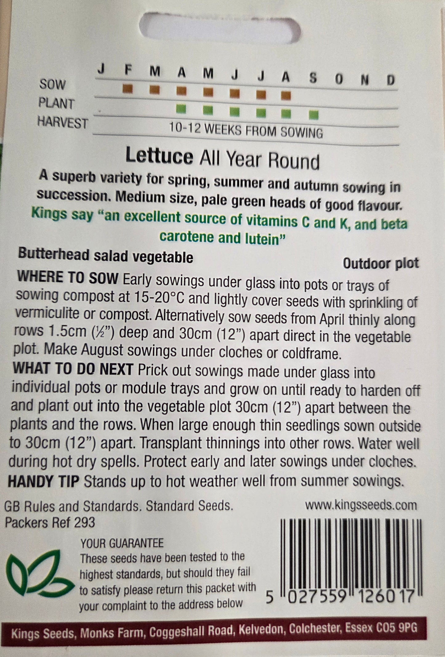 Kings Seeds Lettuce All Year Round
