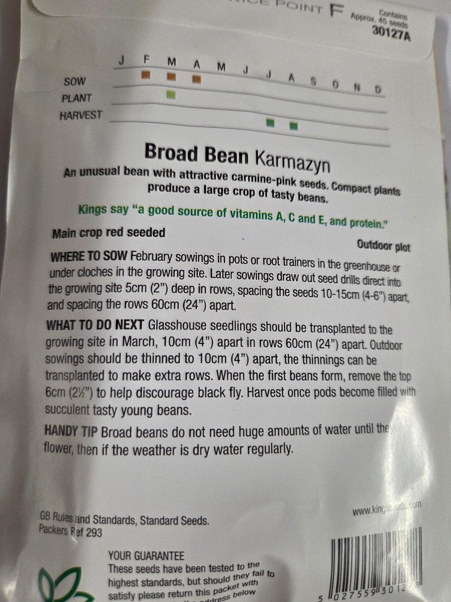 Kings Seeds Broadbean Karmazyn