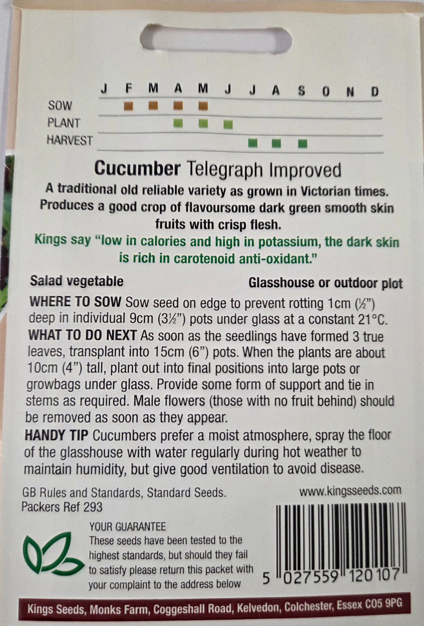Kings Seeds Cucumber Telegraph Improved