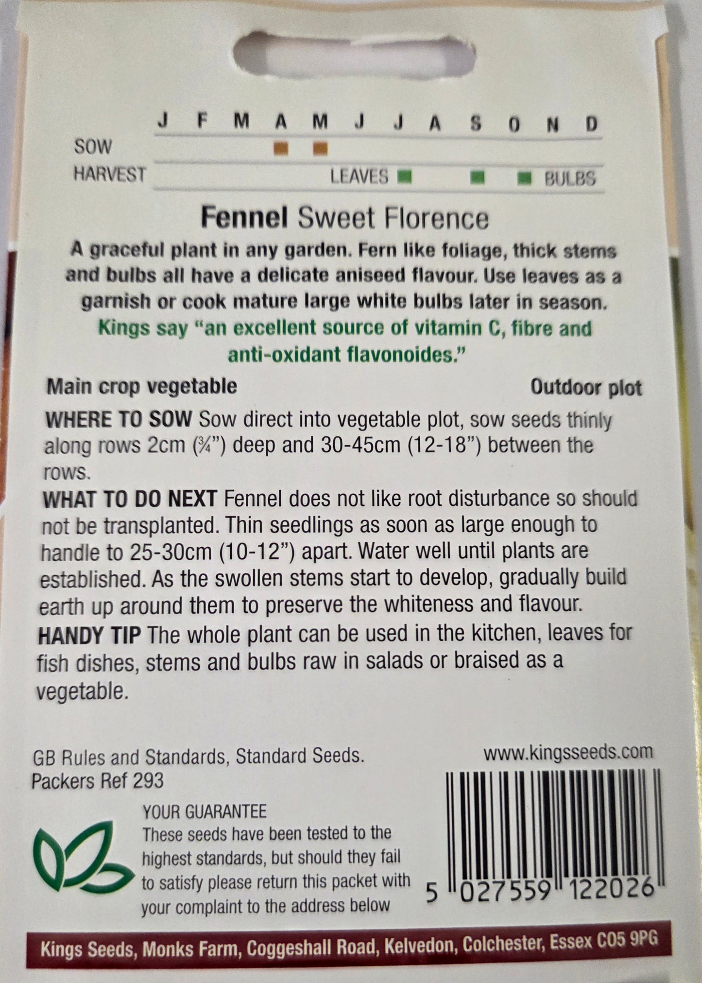 Kings Seeds Fennel Sweet Florence
