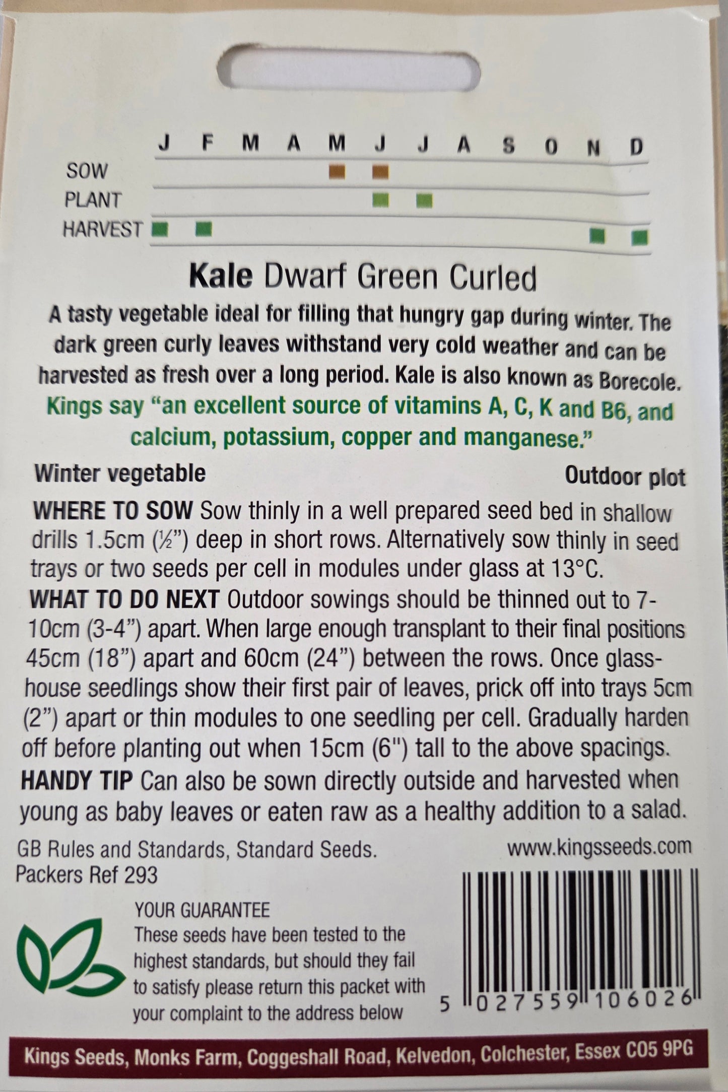 Kings Seeds Kale Dwarf Green Curled