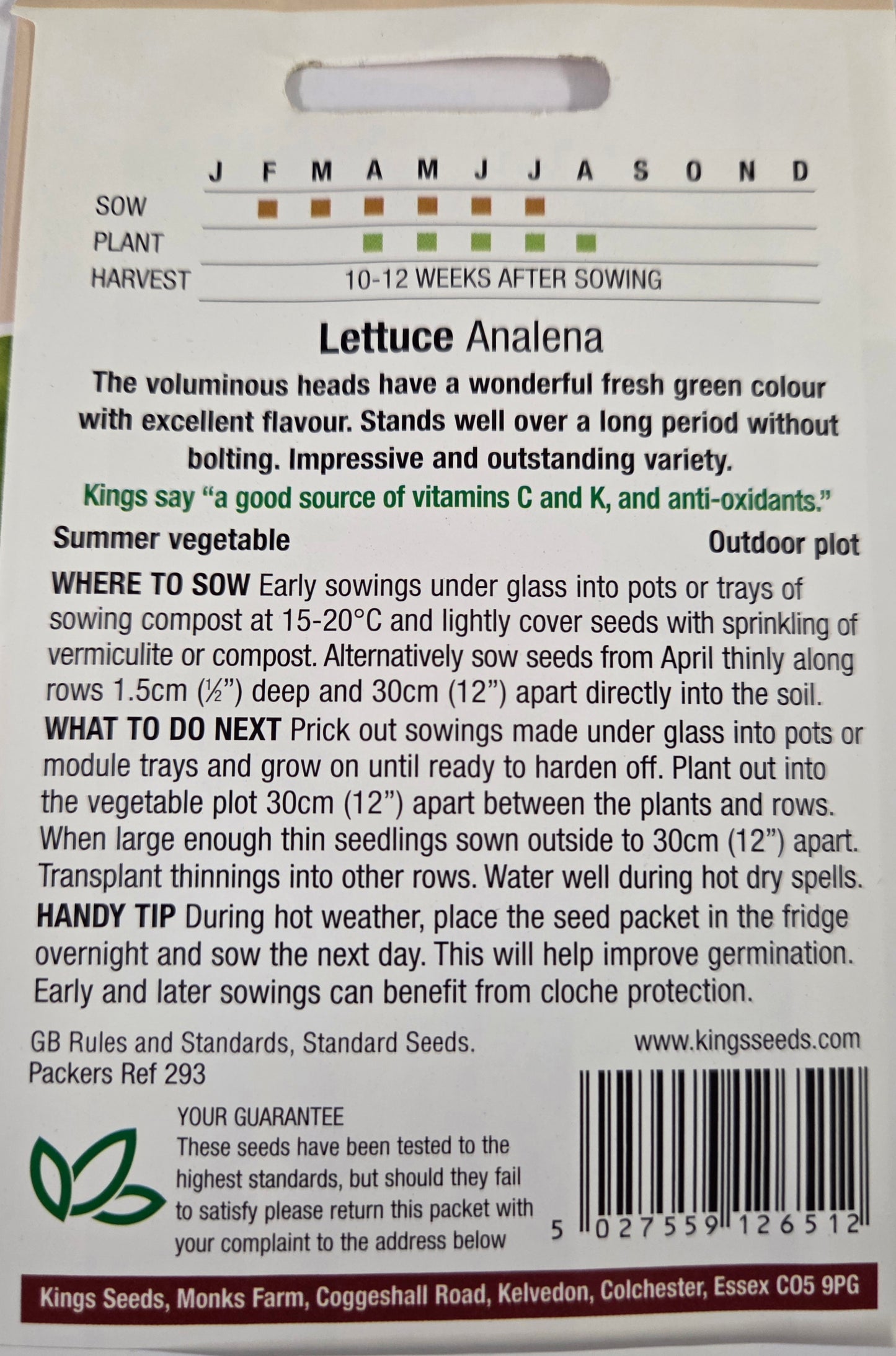 Kings Seeds Lettuce Analena
