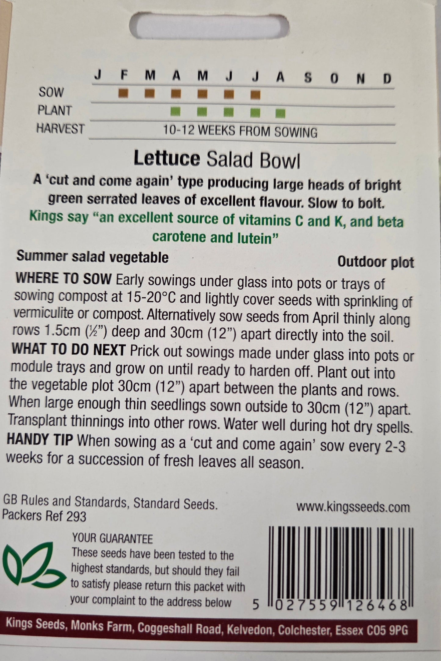 Kings Seeds Lettuce Salad Bowl