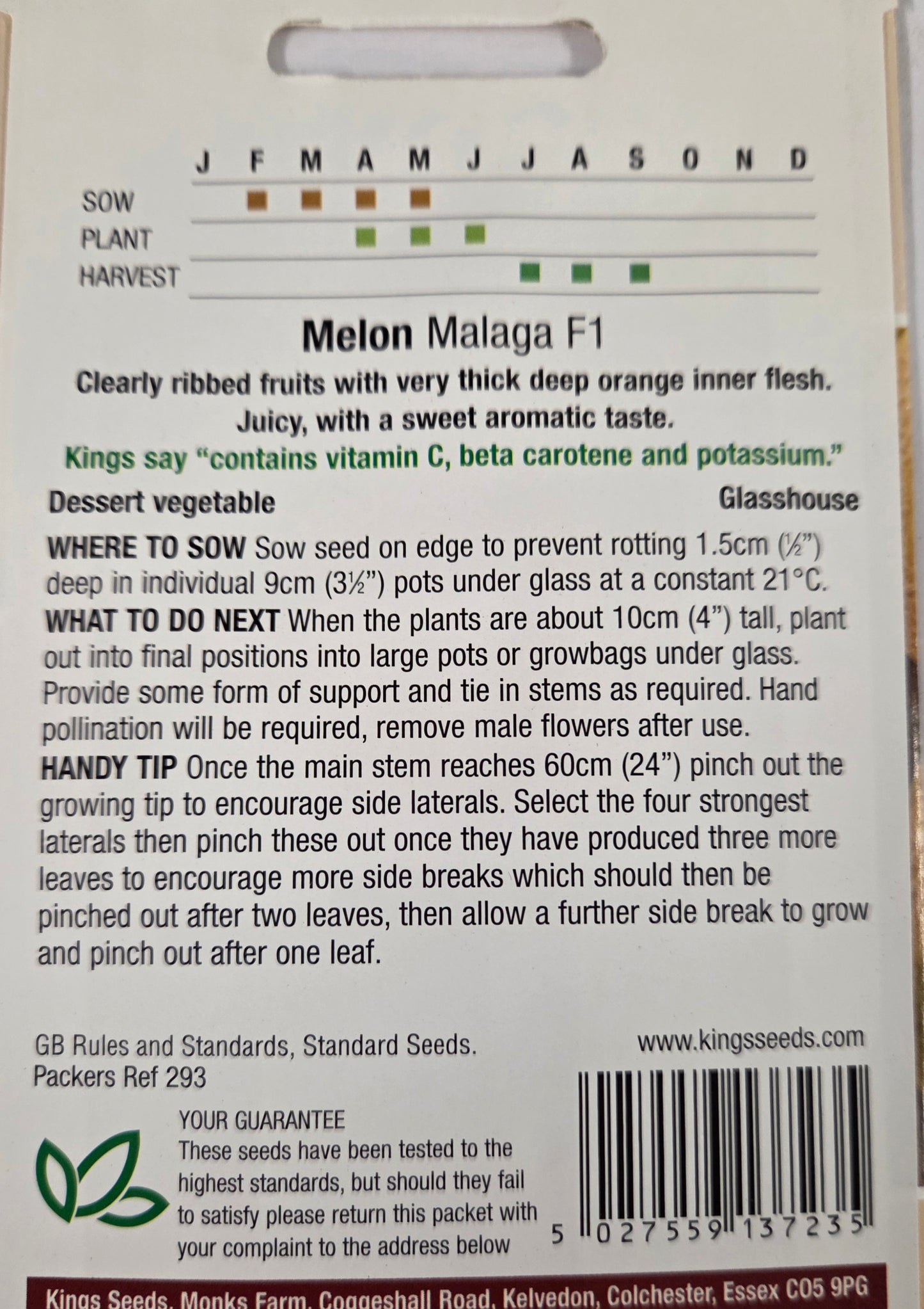 Kings Seeds Melon Malaga F1