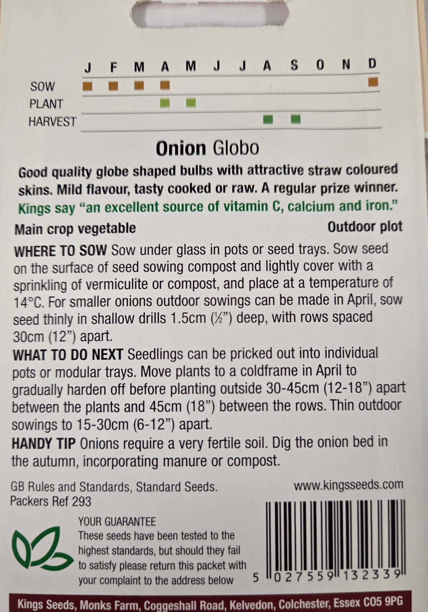 Kings Seeds Onion Globo