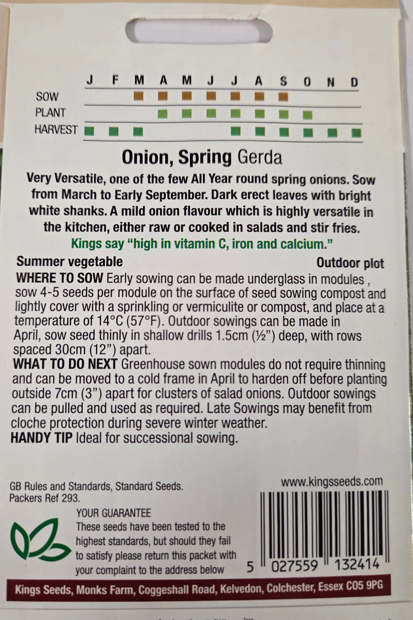 Kings Seeds Onion Spring Gerda