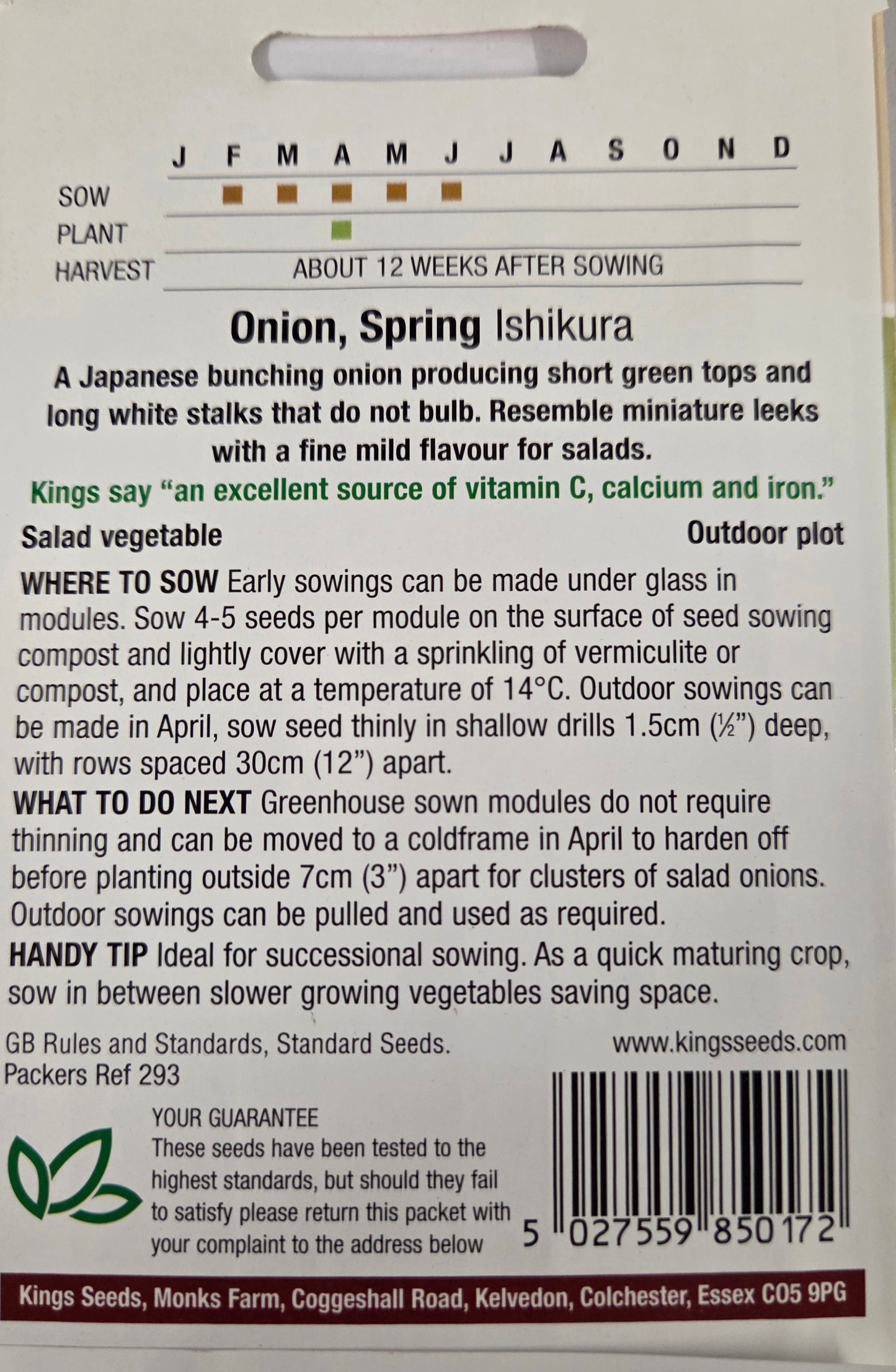 Kings Seeds Onion Spring Ishikura