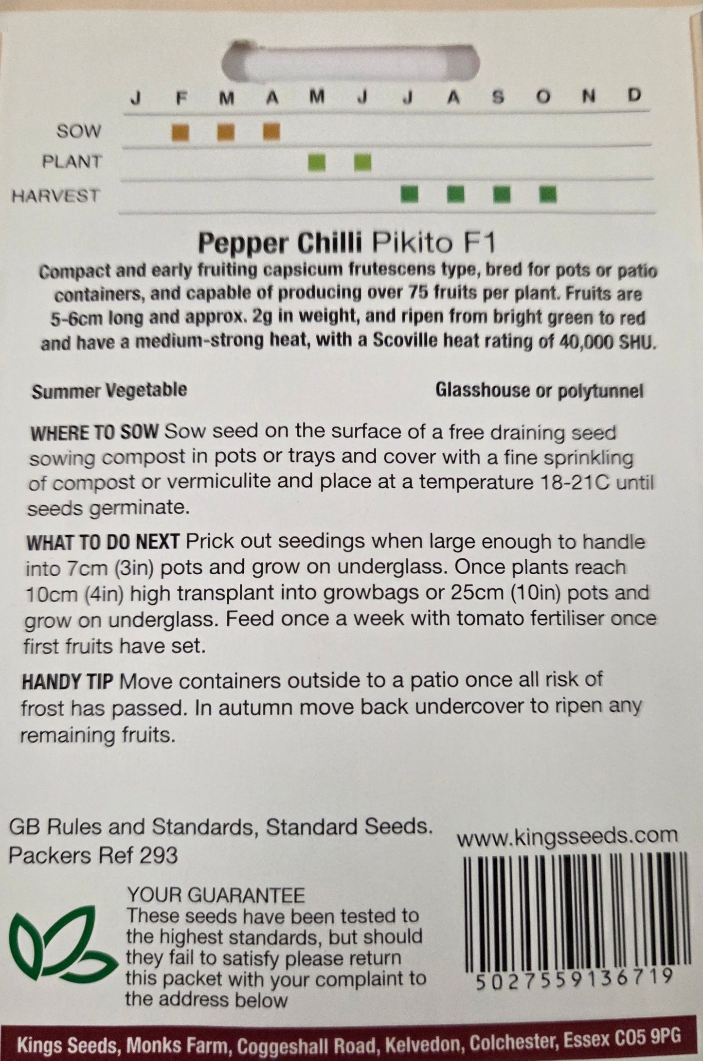 Kings Seeds Pepper Chilli Pikito F1