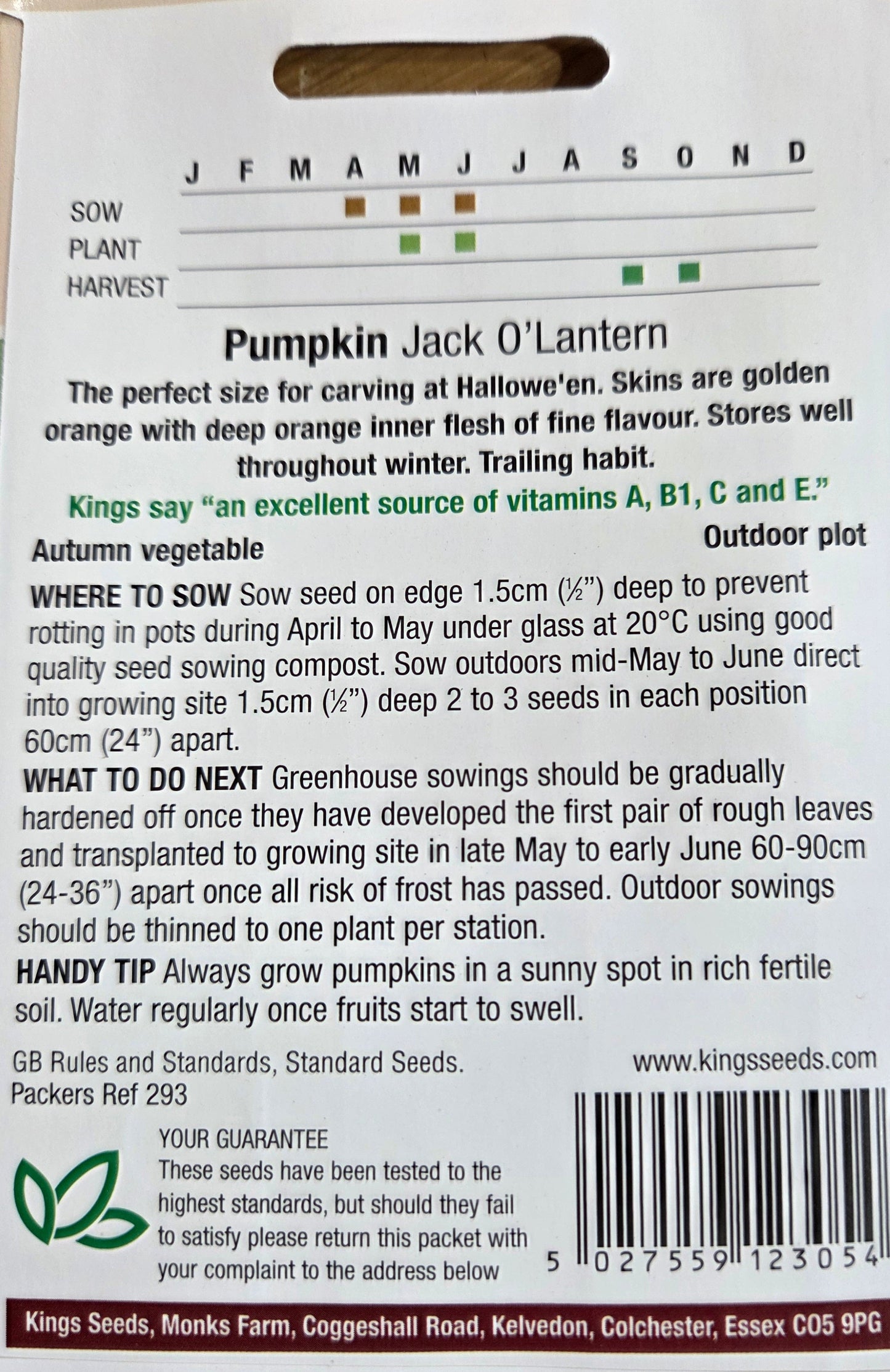Kings Seeds Pumpkin Jack 0' Lantern