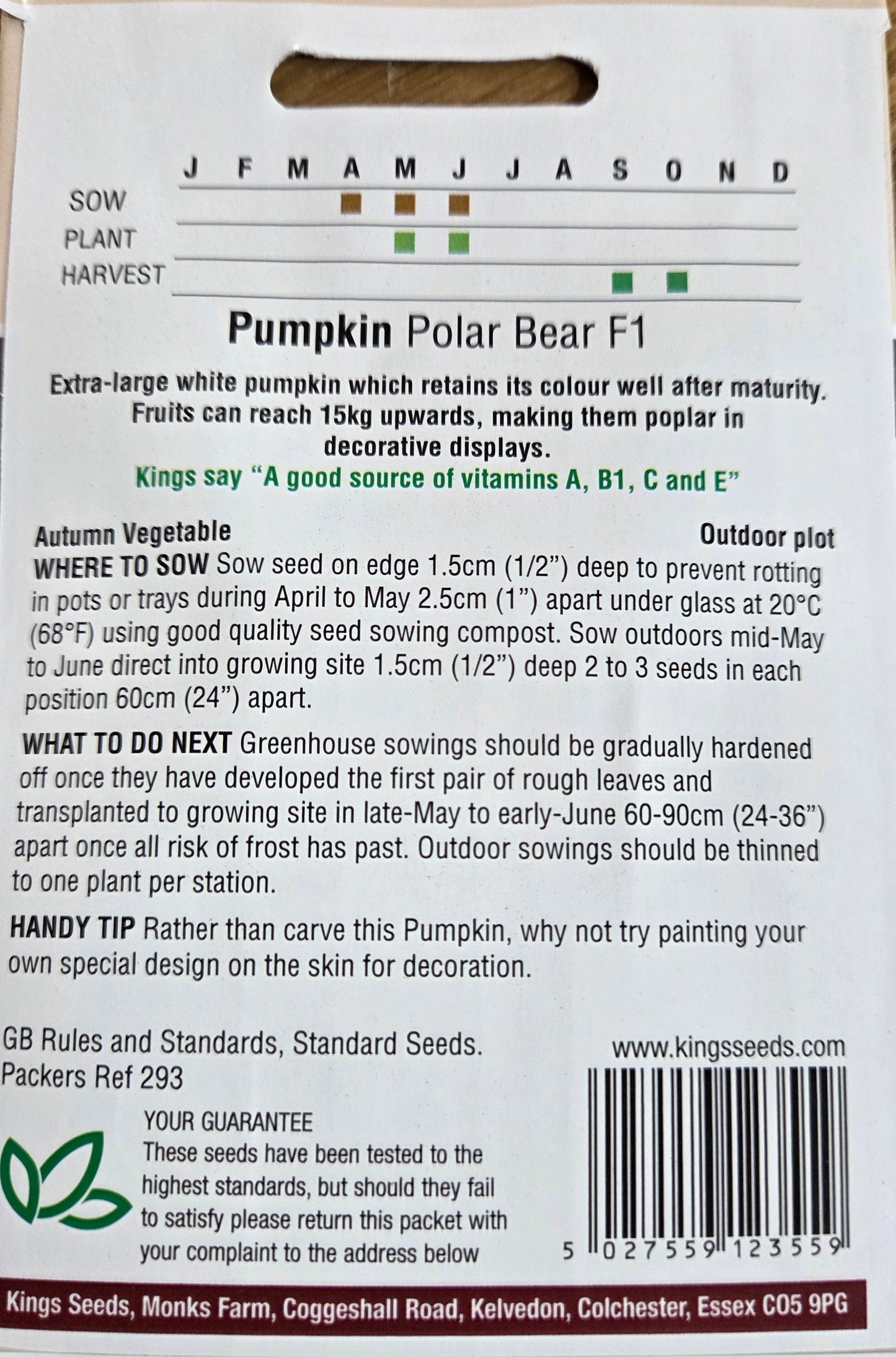 Kings Seeds Pumpkin Polar Bear F1