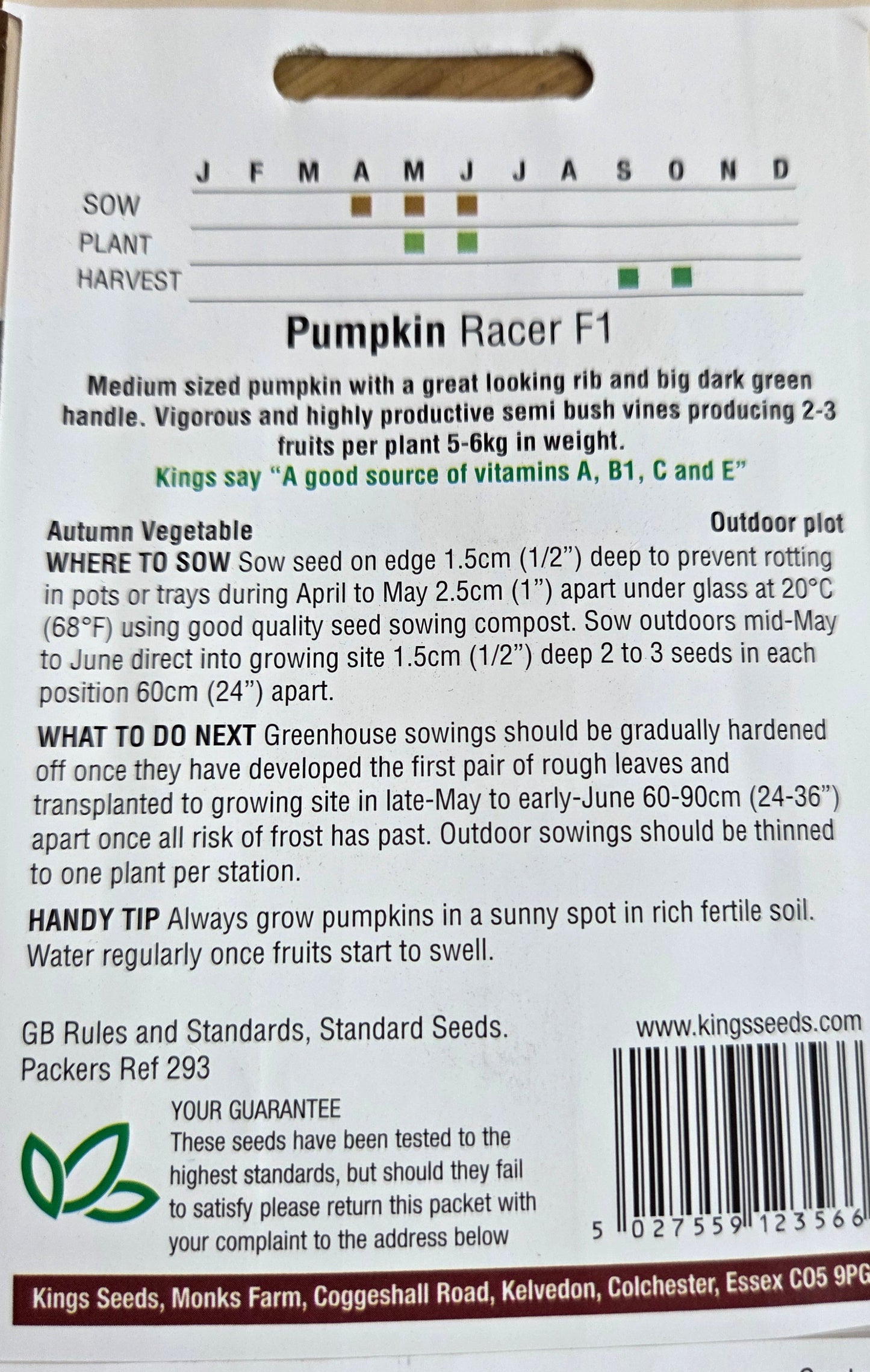 Kings Seeds Pumpkin Racer F1