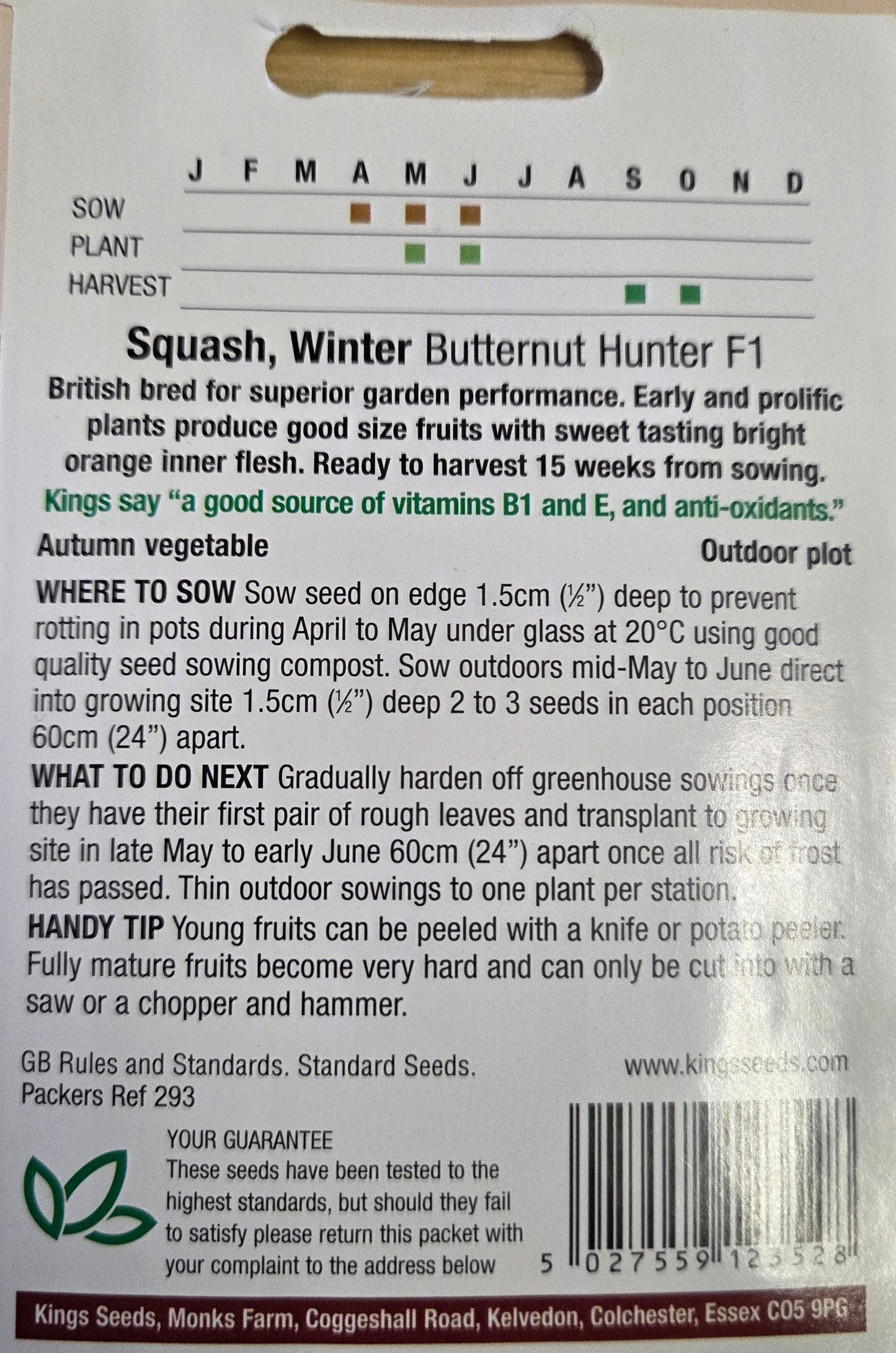 Kings Seeds Squash Winter Butternut Hunter F1