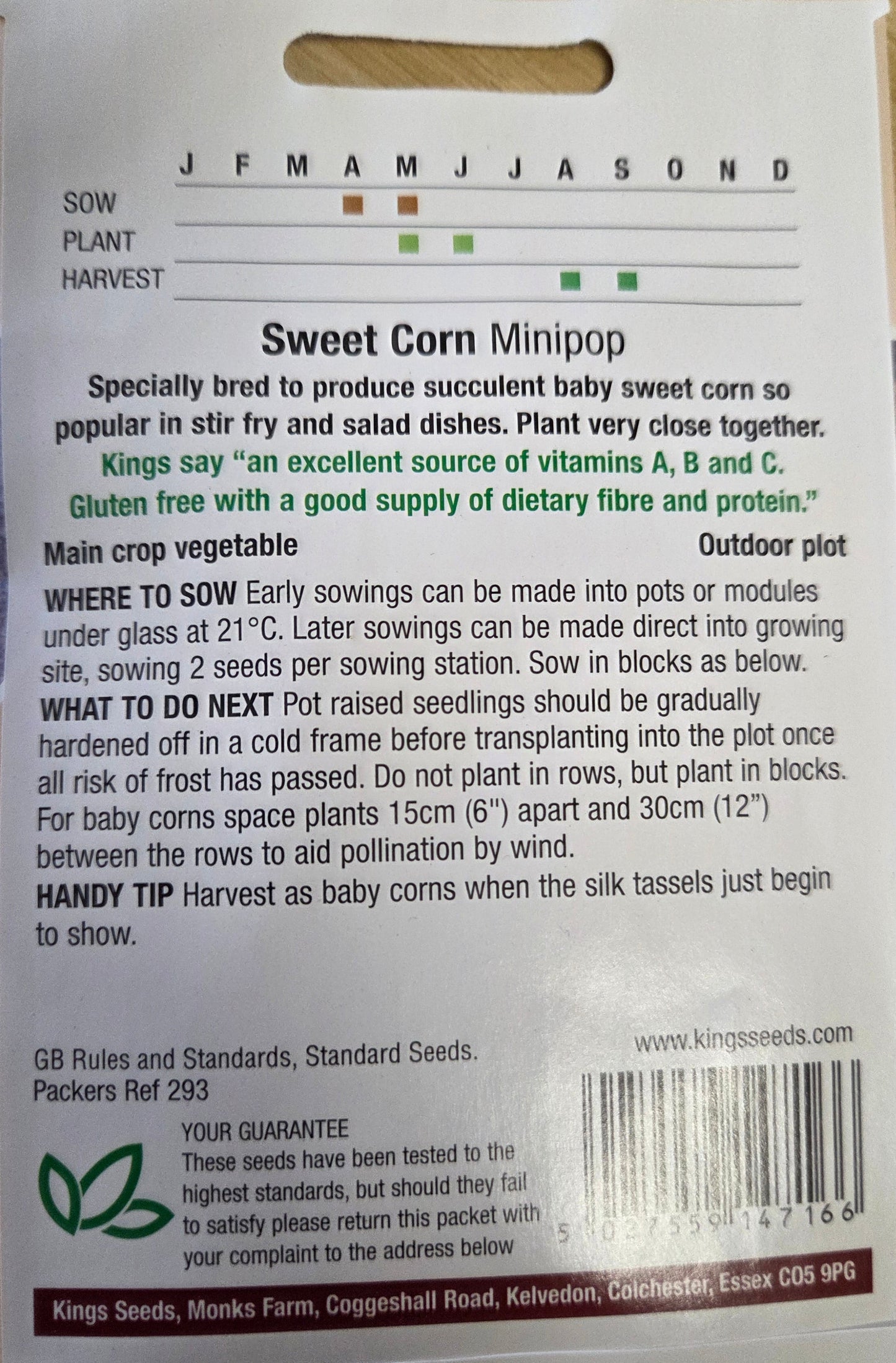 Kings Seeds Sweet Corn Minipop