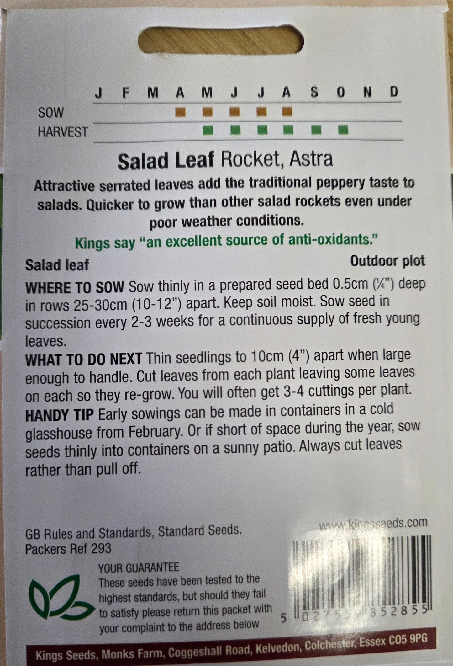 Kings Seeds Salad Leaf Rocket Astra