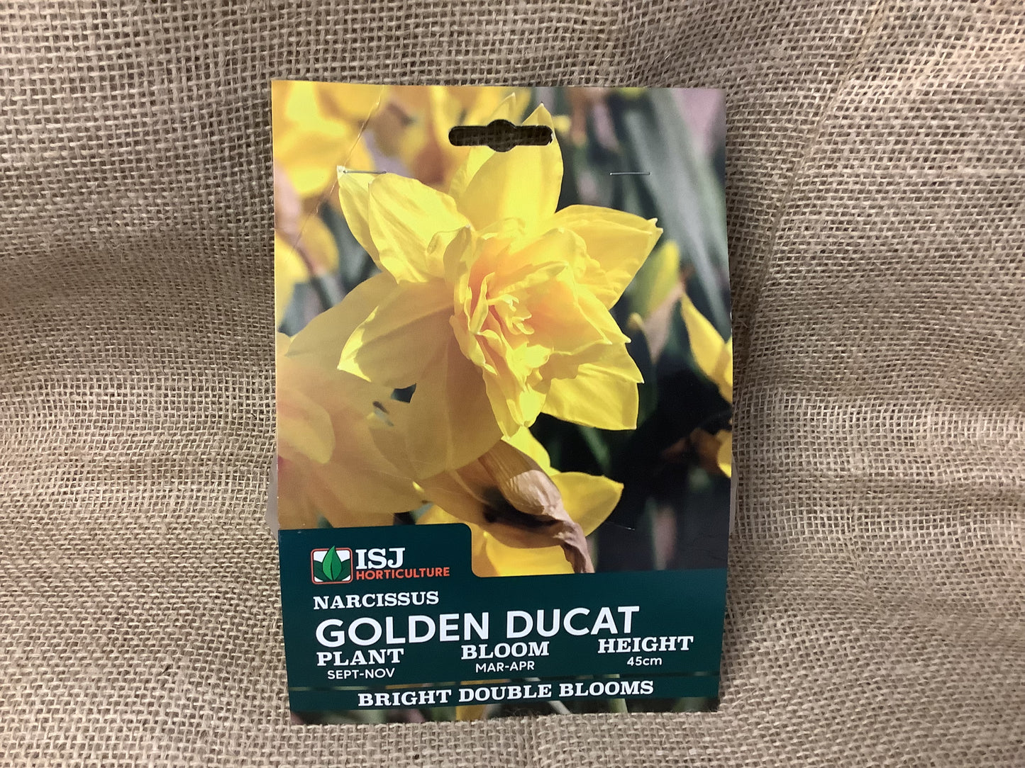 Daffodil Bulbs Golden Ducat x 8