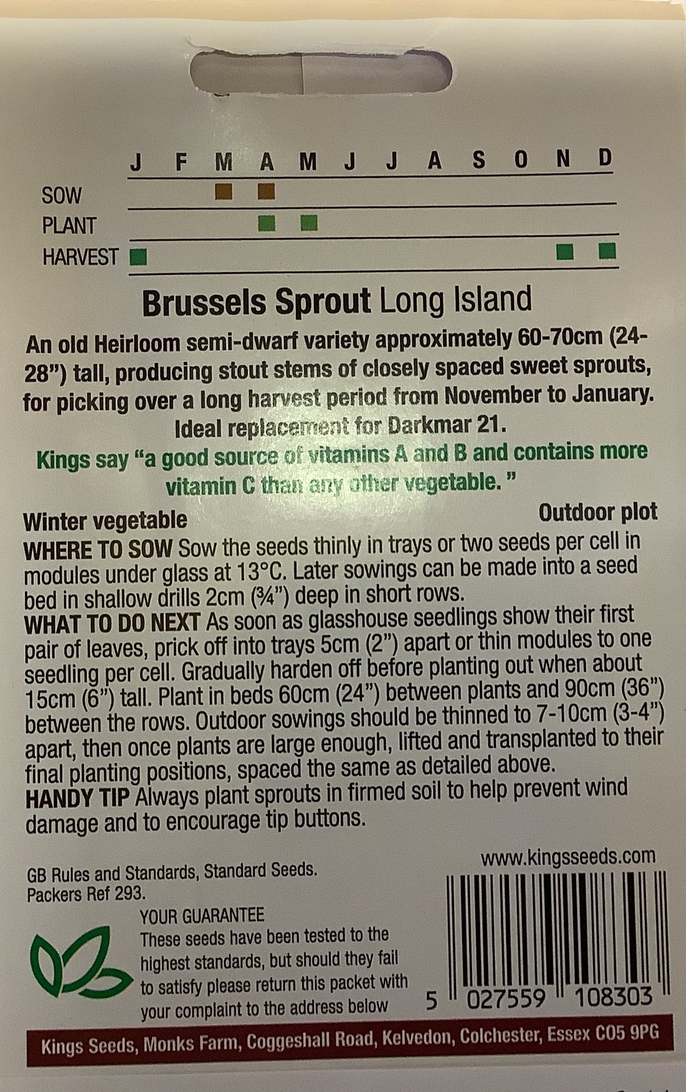Kings Seeds Brussels Sprout Long Island