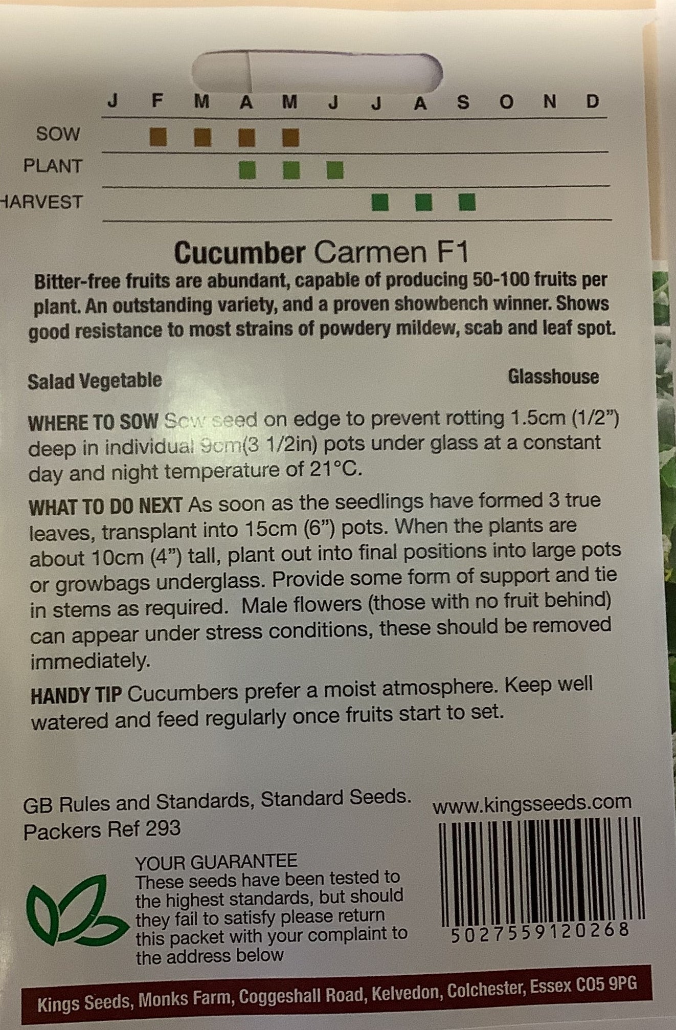 Kings Seeds Cucumber Carmen F1