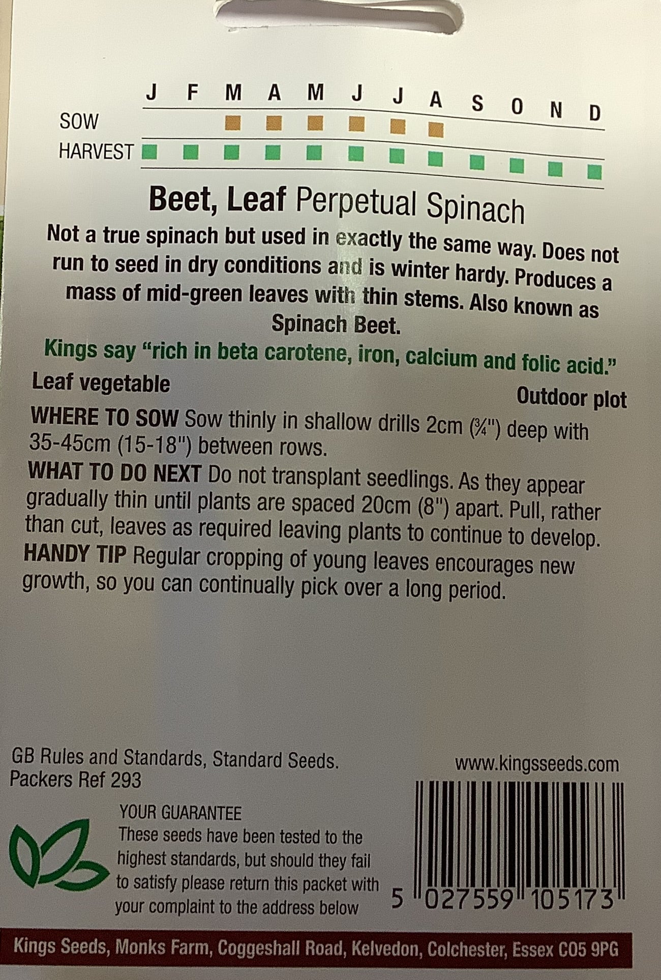 Kings Seeds Beet Leaf Perpetual Spinach