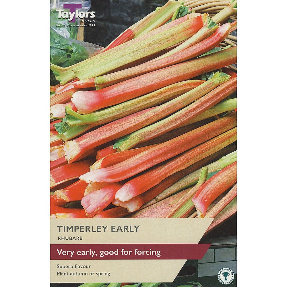 Taylors Potted Rhubarb Crown "Timperley Early"