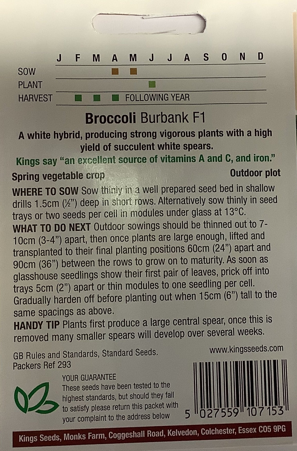 Kings Seeds Broccoli Burbank F1