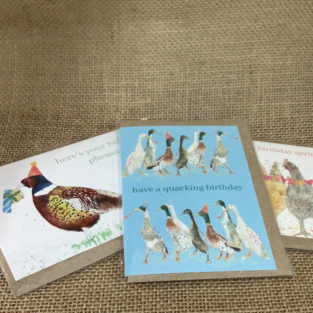 Eco Friendly Cards Assorted