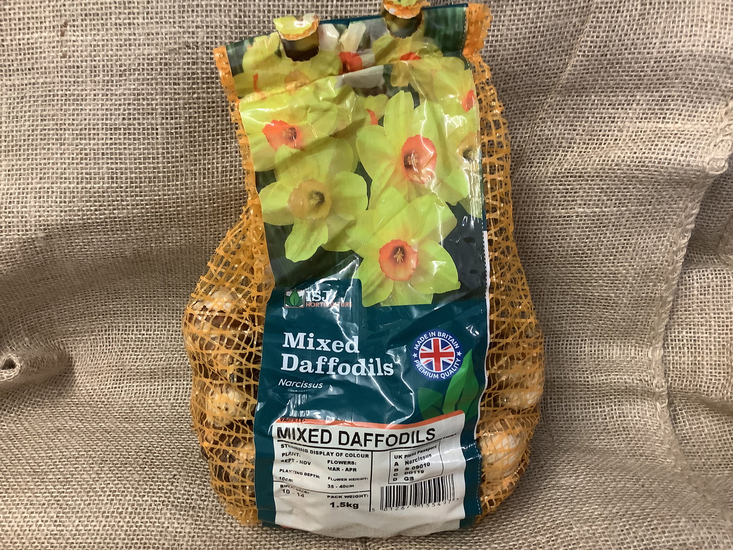 Daffodil Bulbs Mixed 1.5kg