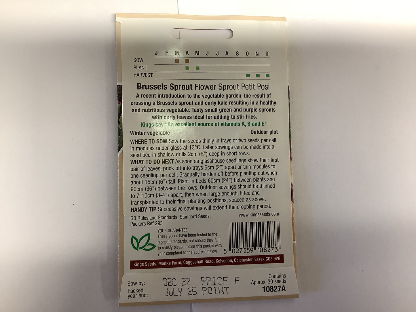 Kings Seeds Brussels Sprout Flower Sprout Petit Posi