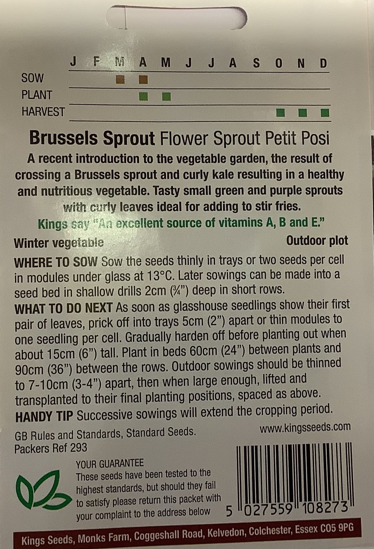 Kings Seeds Brussels Sprout Flower Sprout Petit Posi