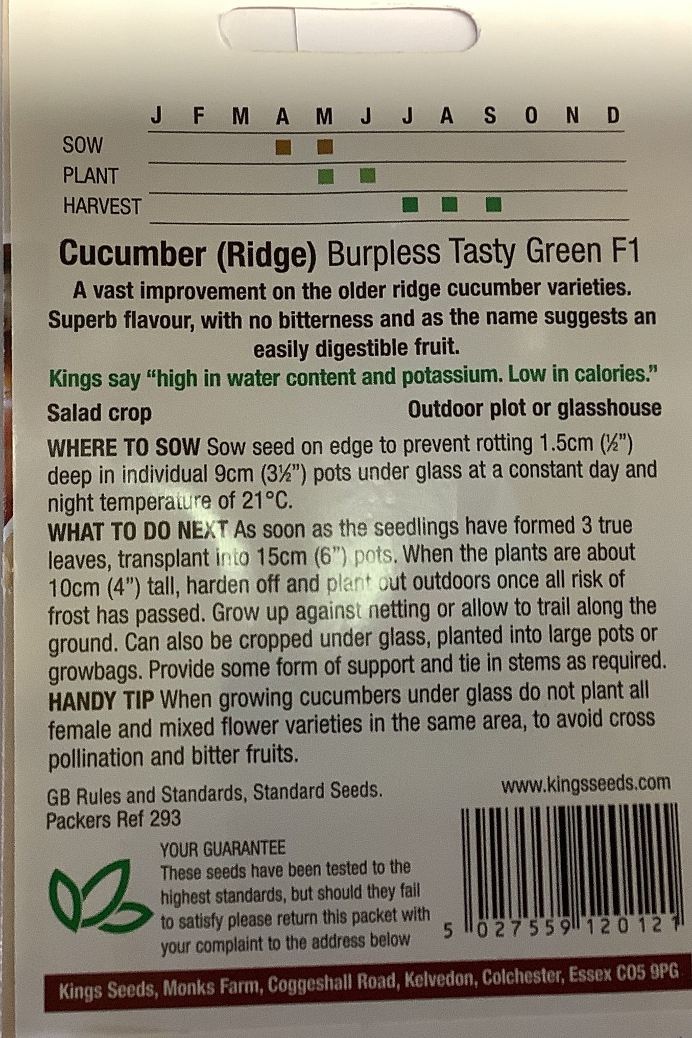 Kings Seeds Cucumber (Ridge) Burpless Tasty Green F1