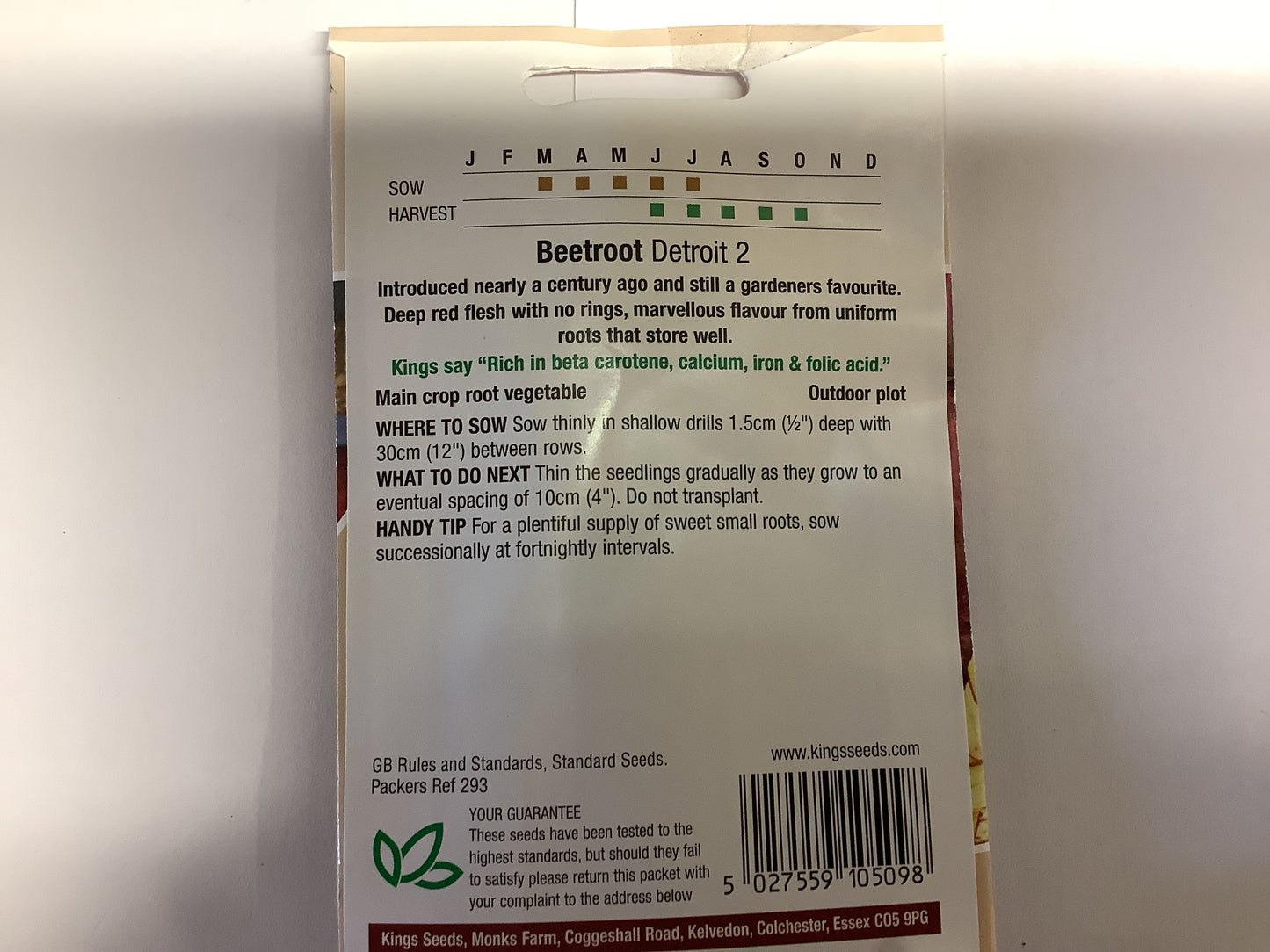 Kings Seeds Beetroot Detroit 2