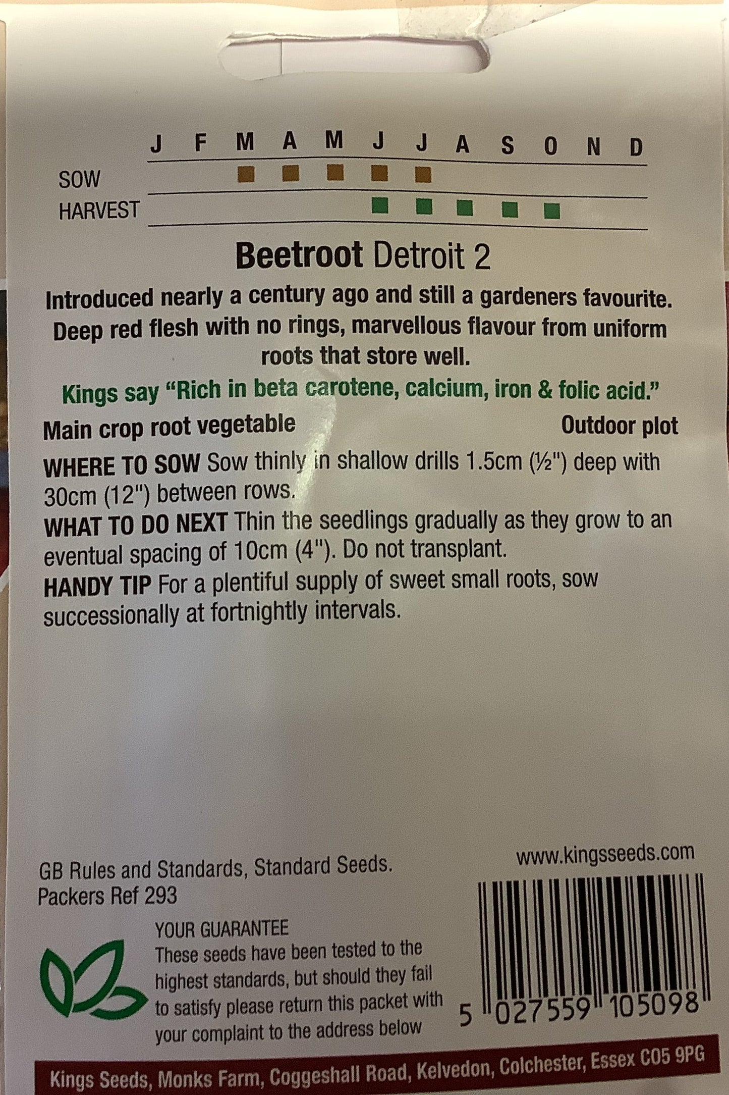 Kings Seeds Beetroot Detroit 2