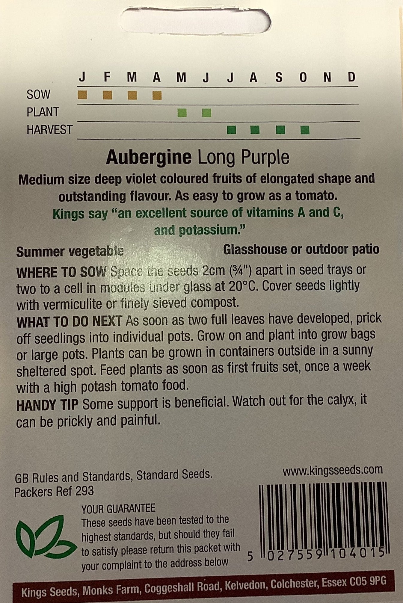 Kings Seeds Aubergine Long Purple