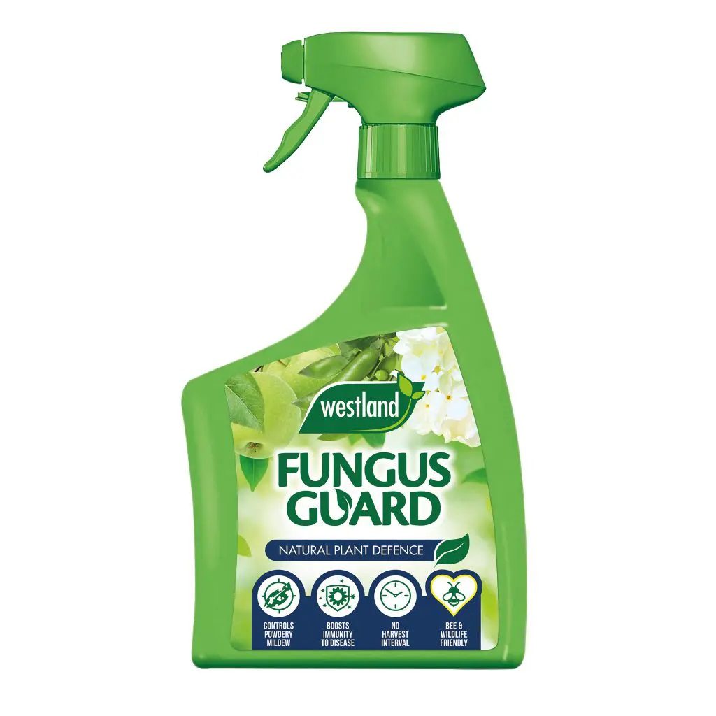 Westland, Fungus Guard 800ml Spray