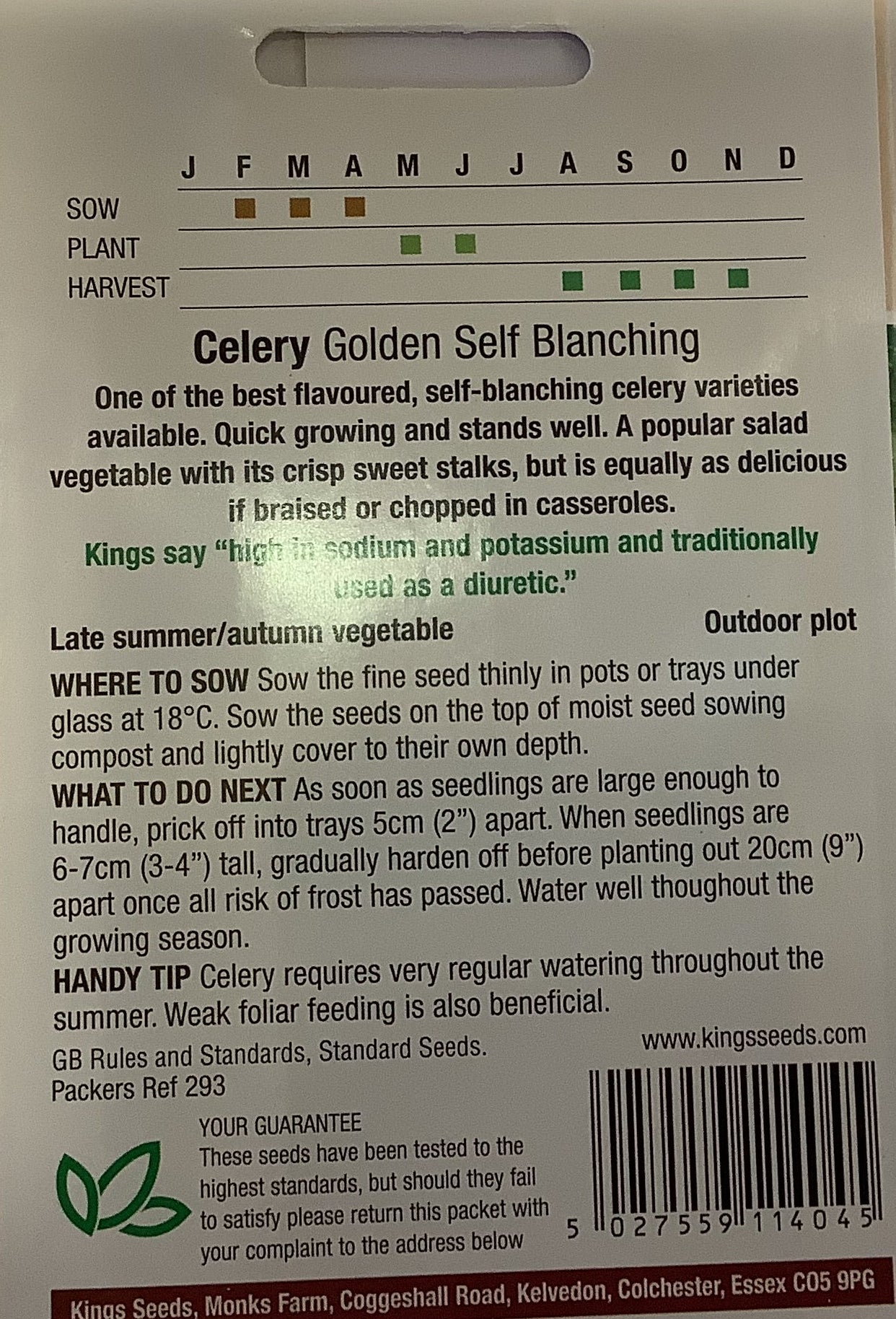 Kings Seeds Celery Golden Self Blanching