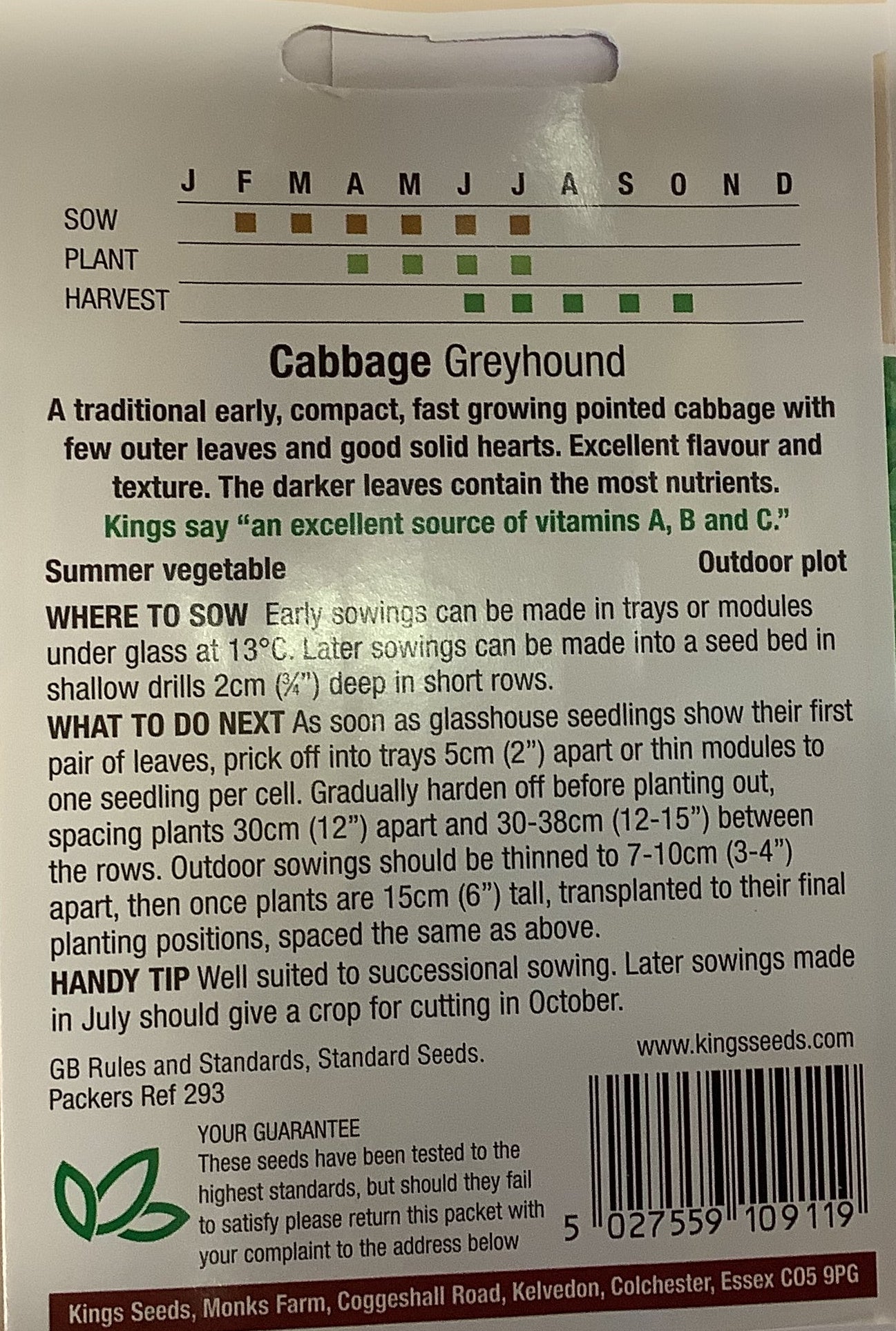 Kings Seeds Cabbage Greyhound