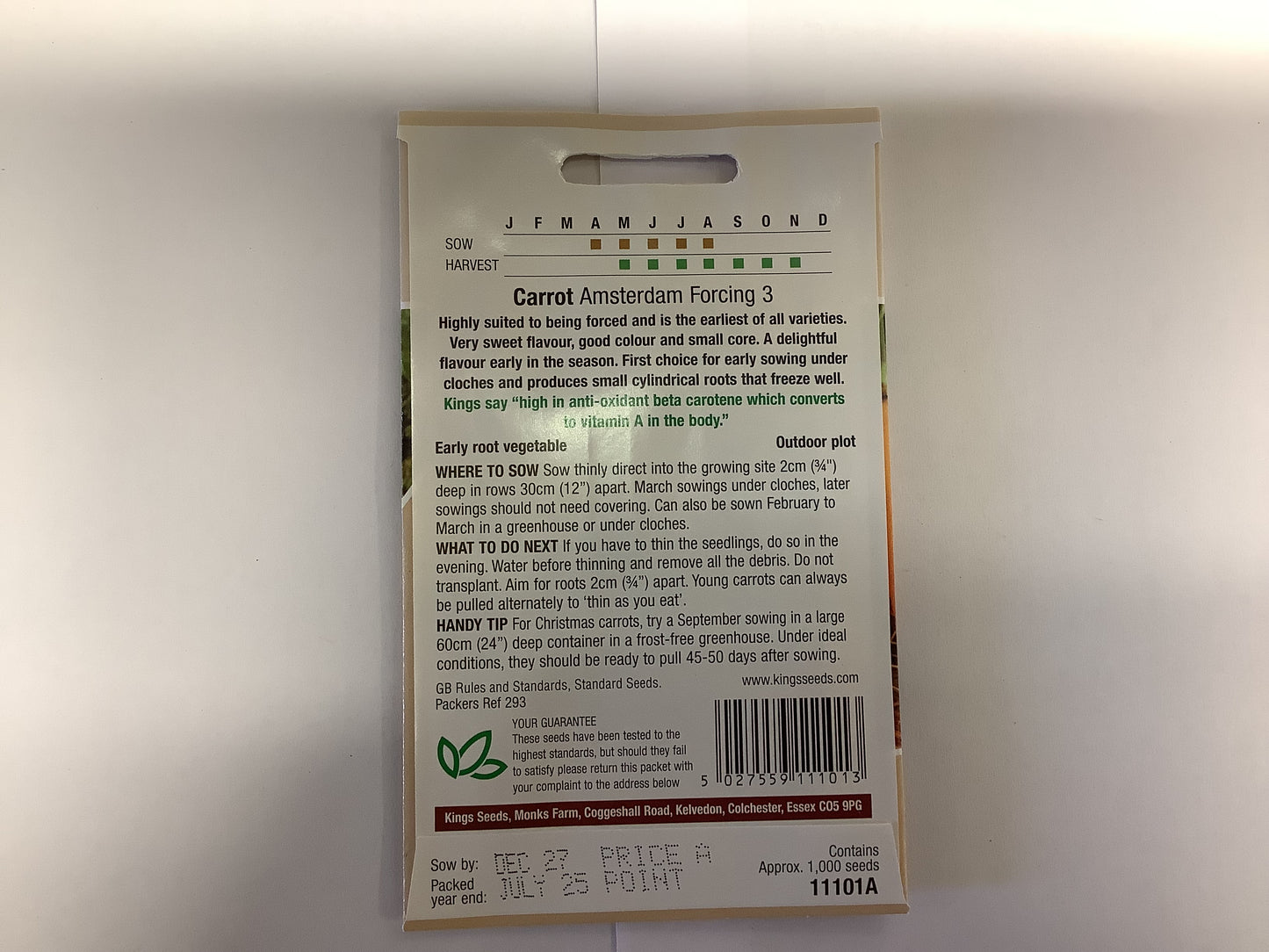 Kings Seeds Carrot Amsterdam Forcing 3