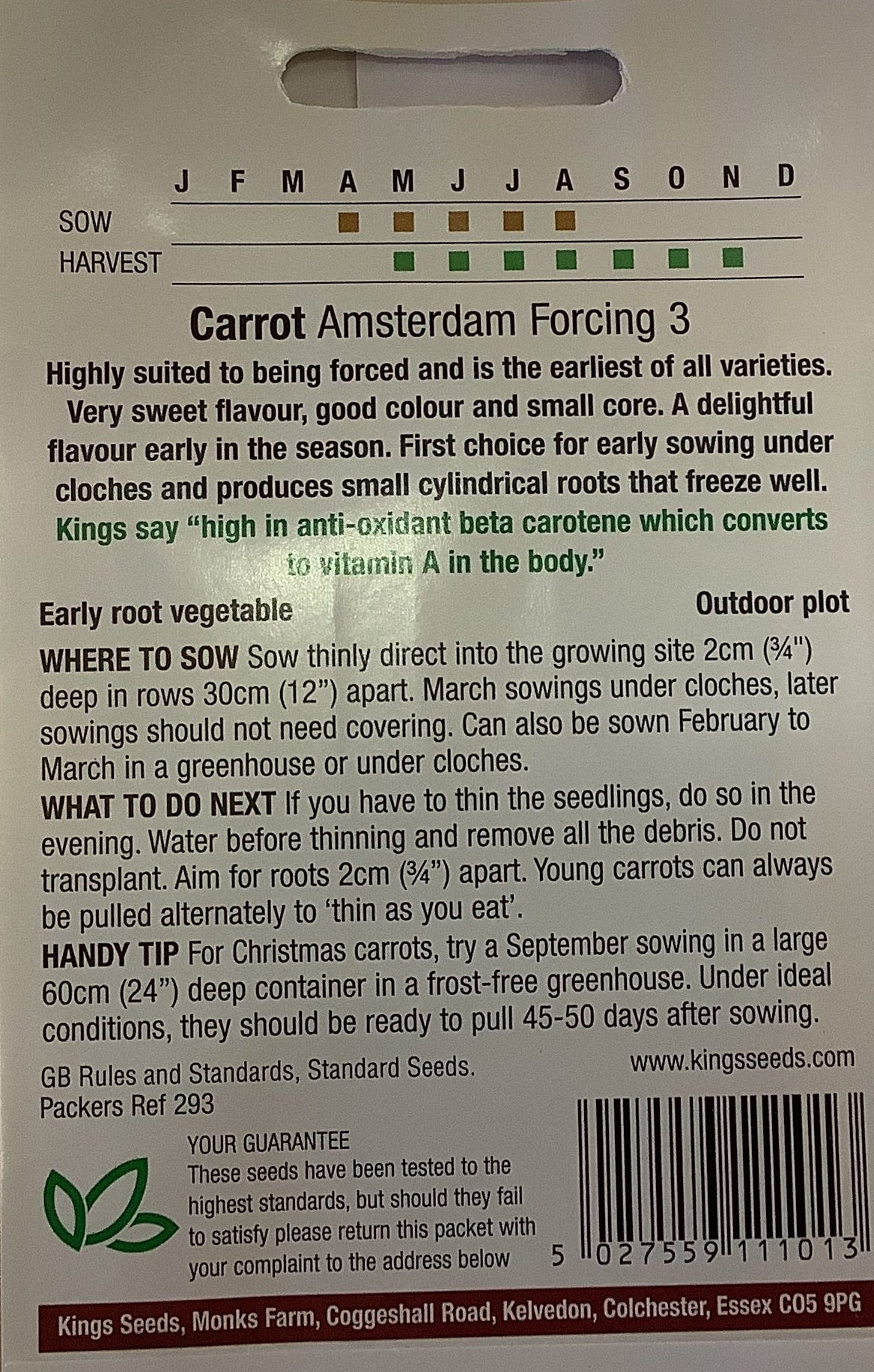 Kings Seeds Carrot Amsterdam Forcing 3