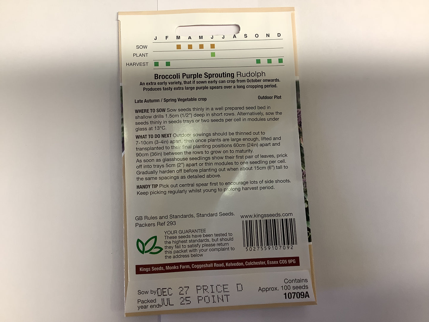 Kings Seeds Broccoli Purple Sprouting Rudolph