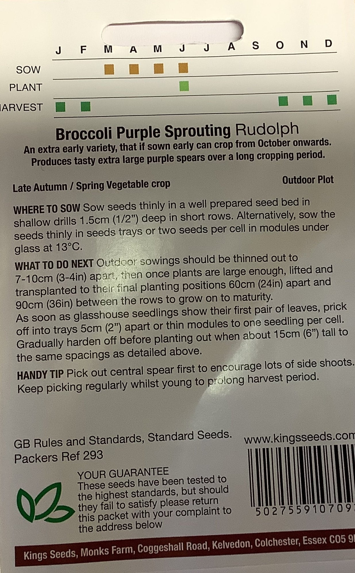 Kings Seeds Broccoli Purple Sprouting Rudolph